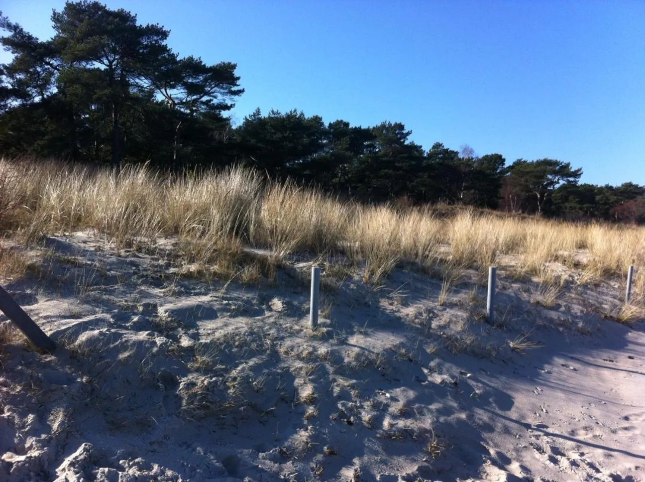 Beach in Haus Sandra