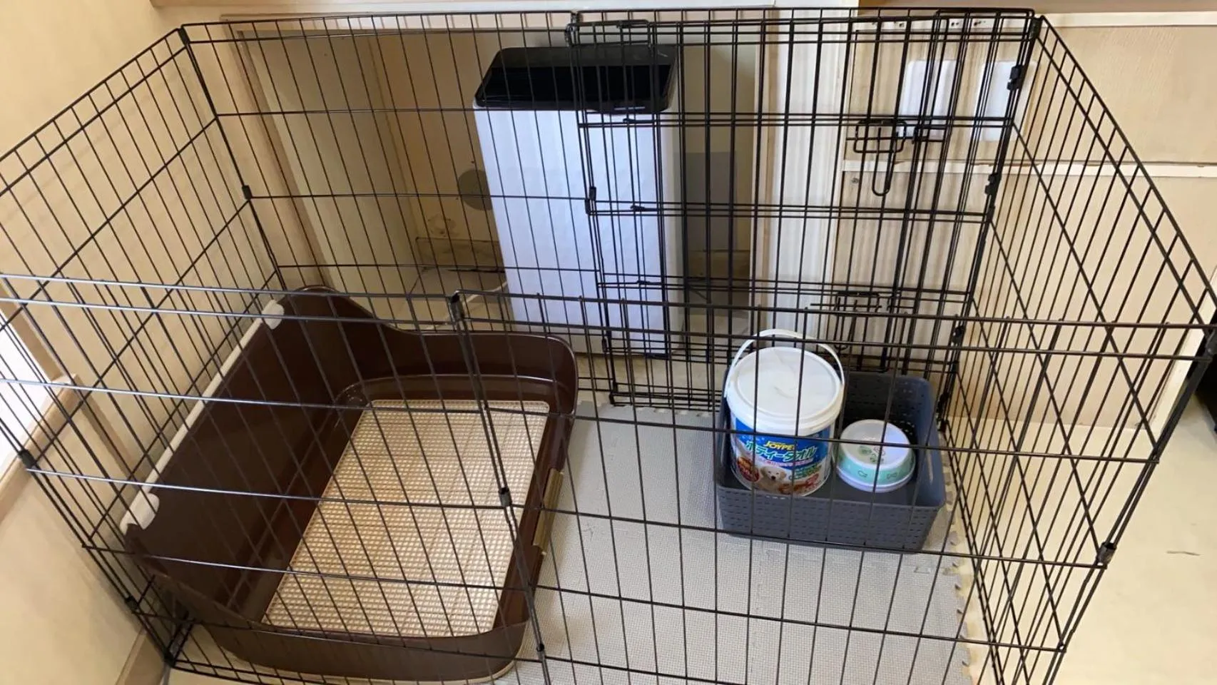 Animals in Hotel Lucia at Maebashi Akagi