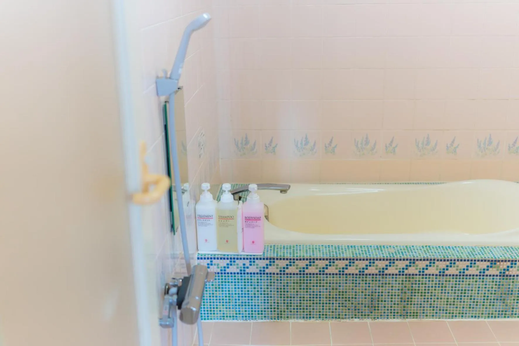 Shower in Hotel Lucia at Maebashi Akagi