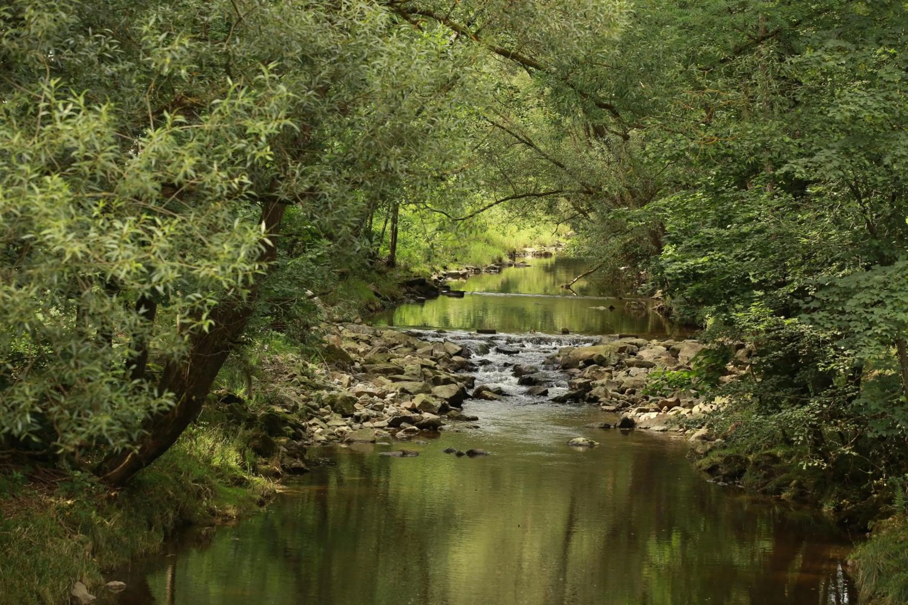 Fishing in Gasthof Pension Fischerstüberl
