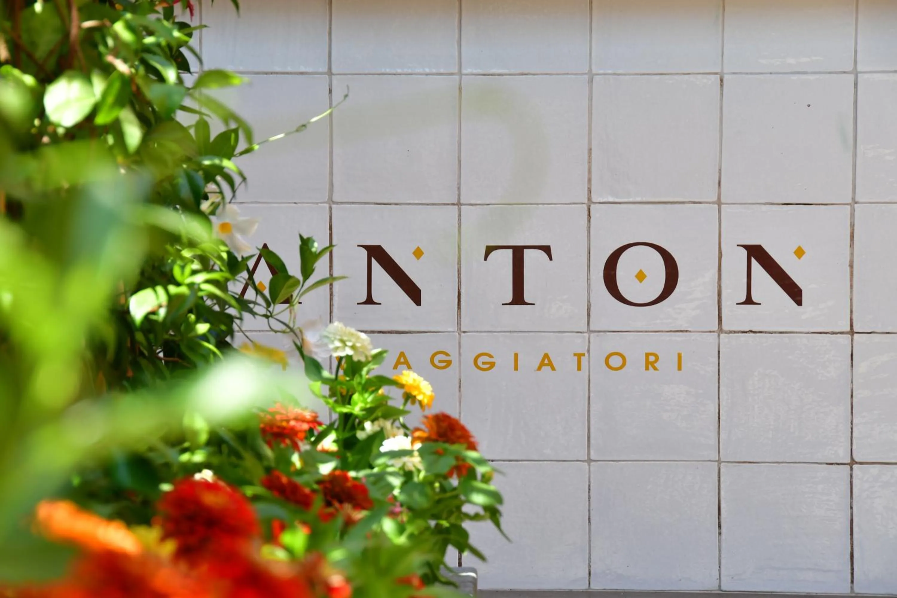 Property logo or sign in San Anton Hotel