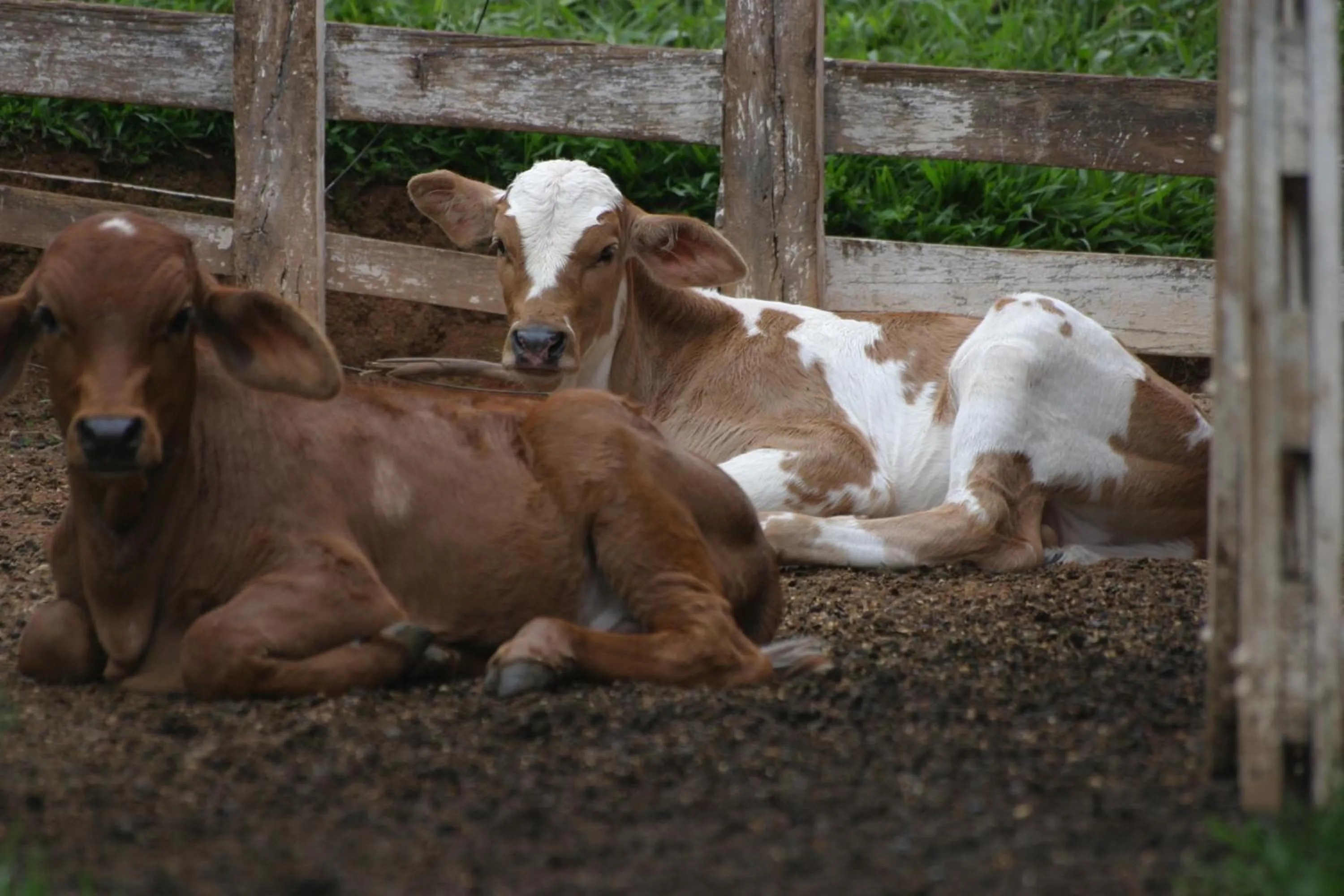 Hotel Fazenda Menino da Porteira