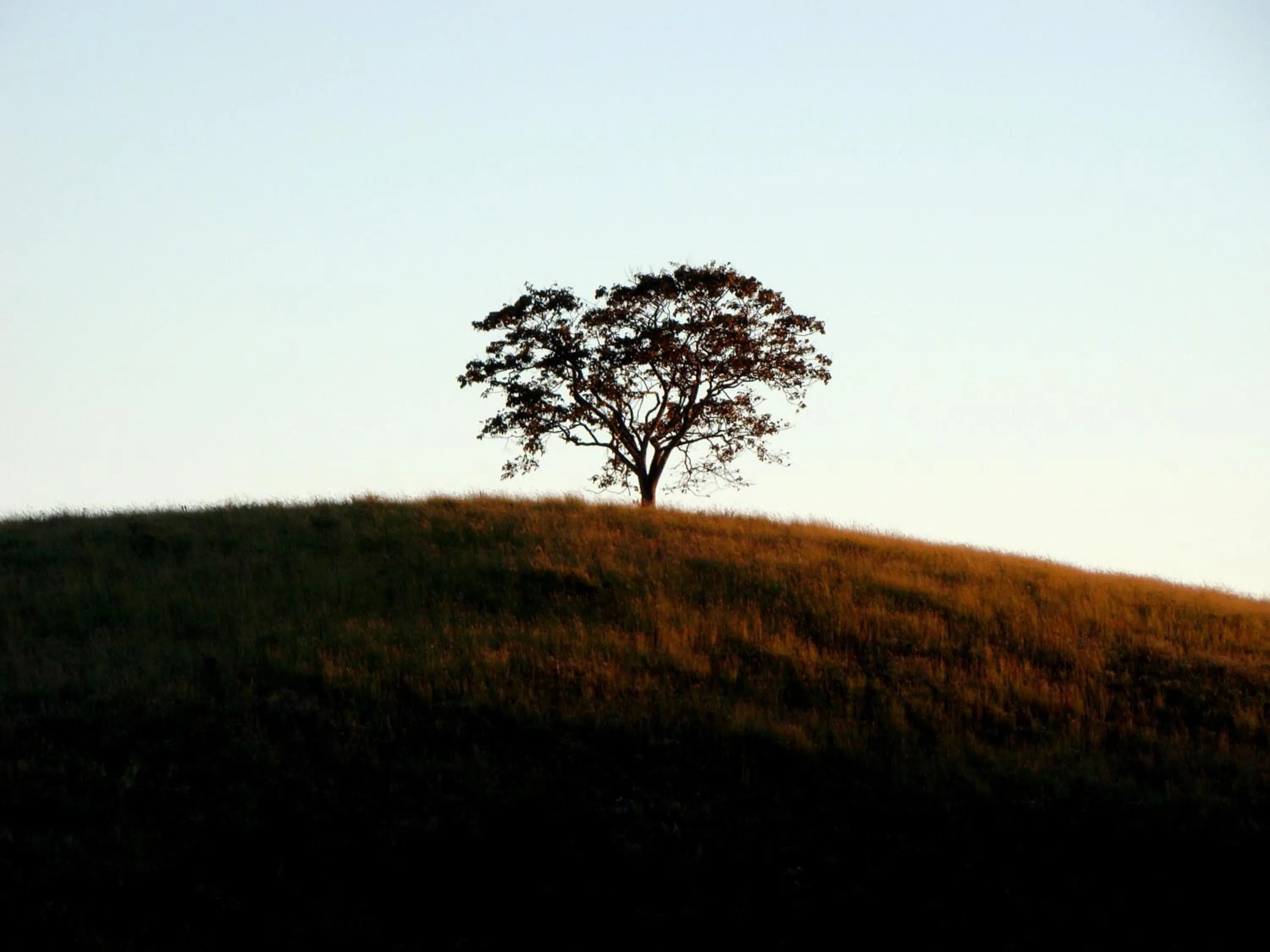 Hotel Fazenda Menino da Porteira
