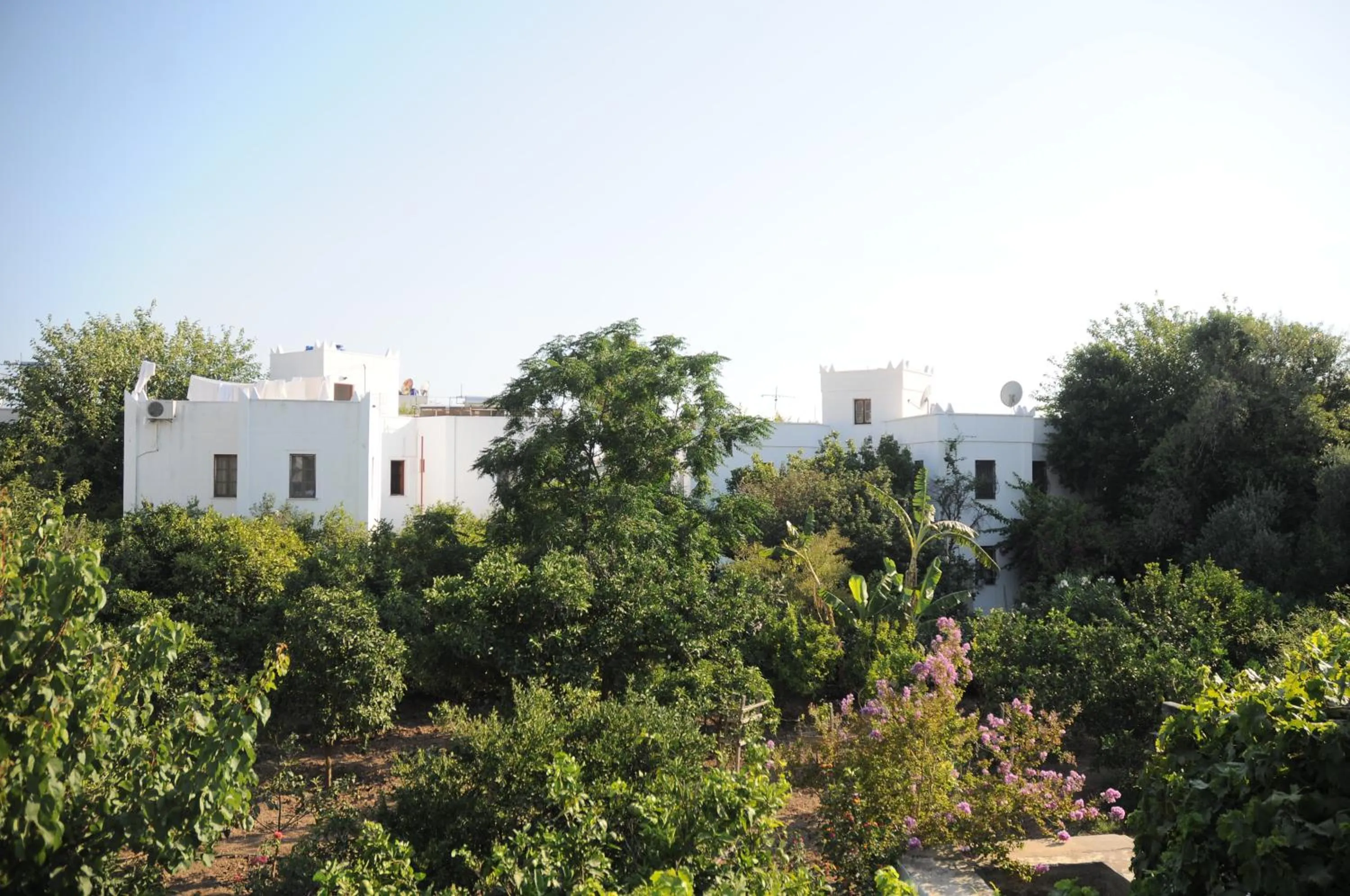 Facade/entrance in Hotel Gulec