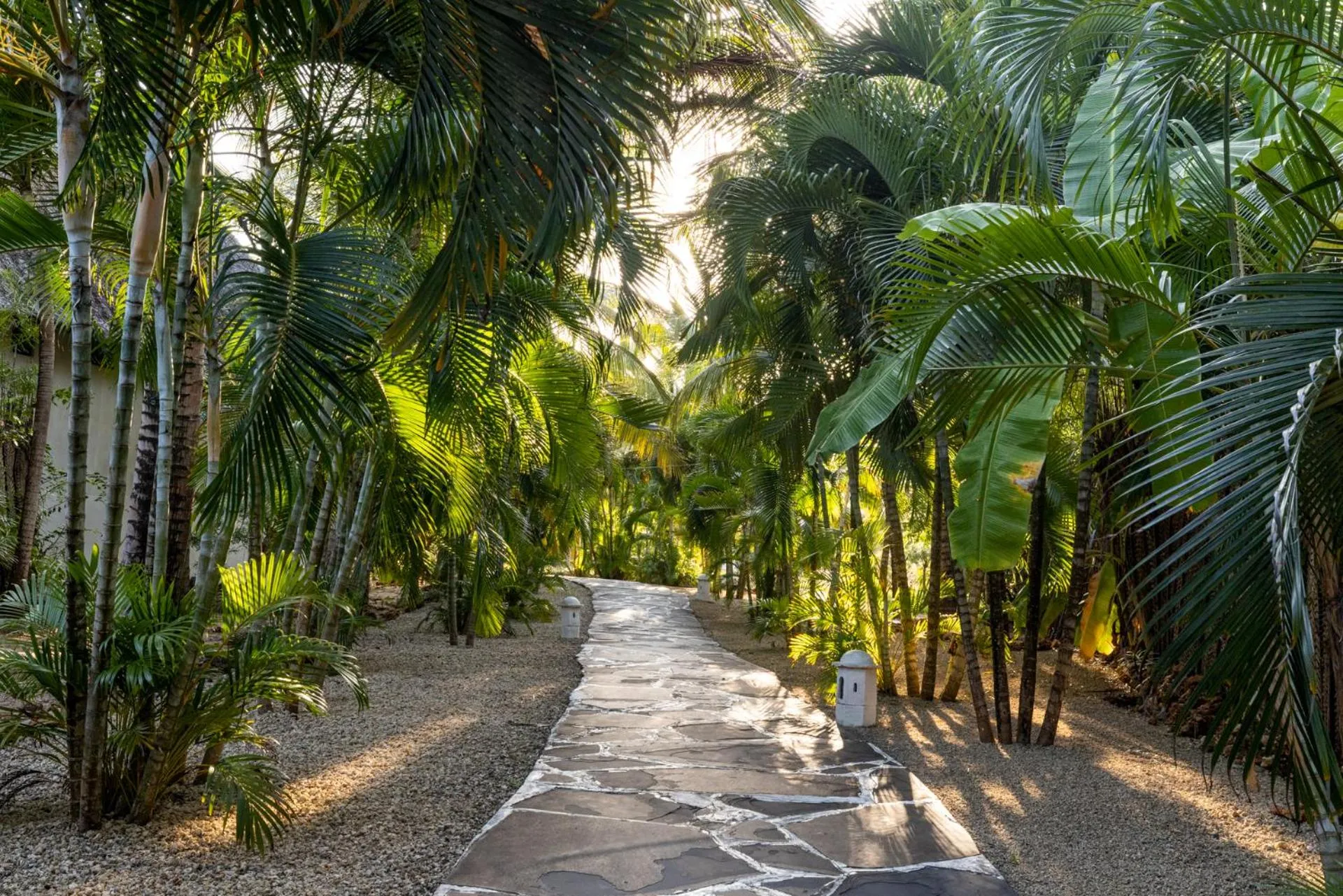 Natural landscape in Msambweni Beach House and Private Villas