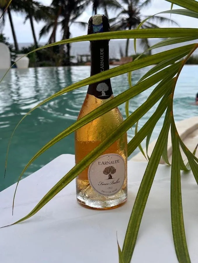 Msambweni Beach House and Private Villas