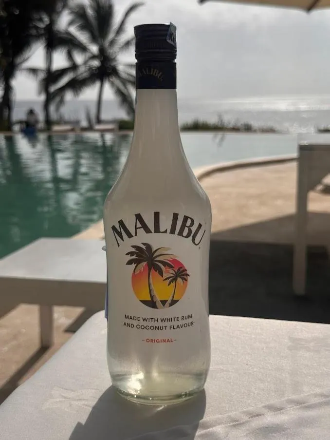 Msambweni Beach House and Private Villas