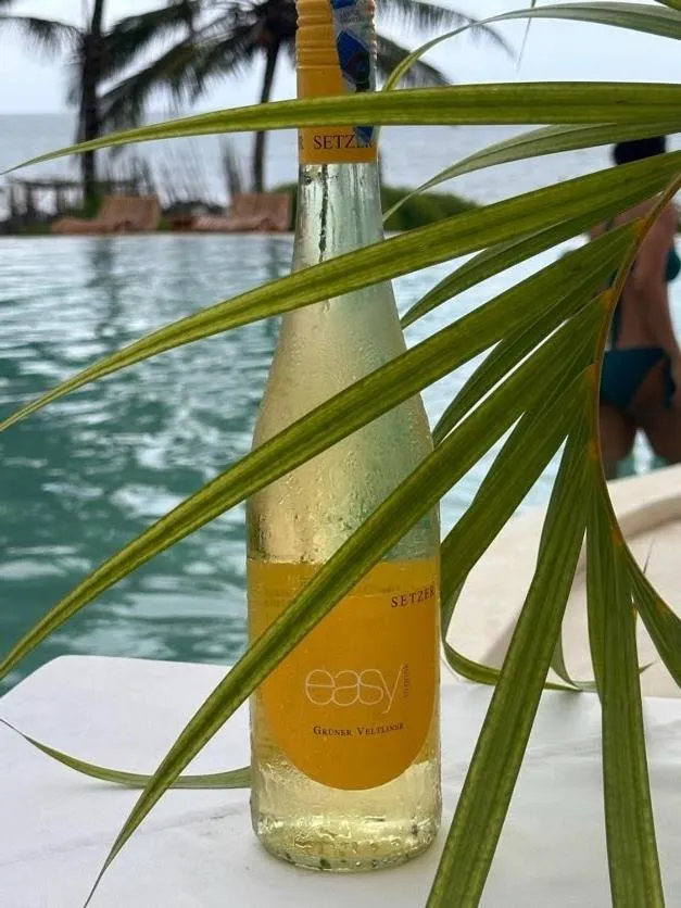 Msambweni Beach House and Private Villas