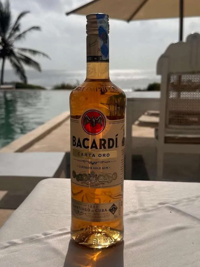 Msambweni Beach House and Private Villas