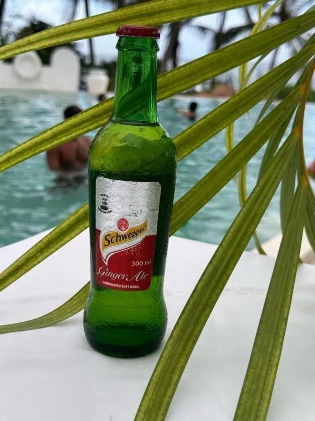 Msambweni Beach House and Private Villas