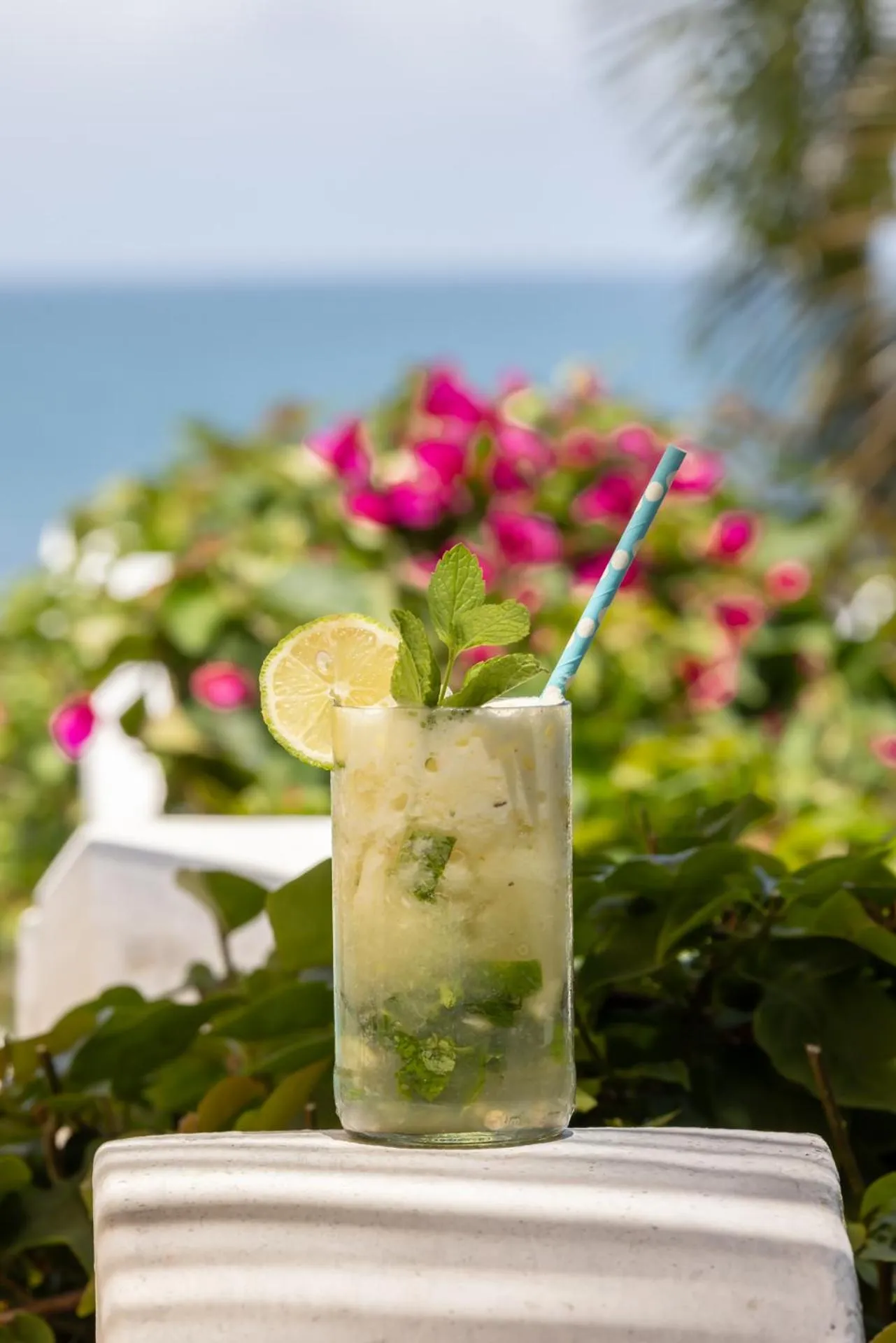 Msambweni Beach House and Private Villas