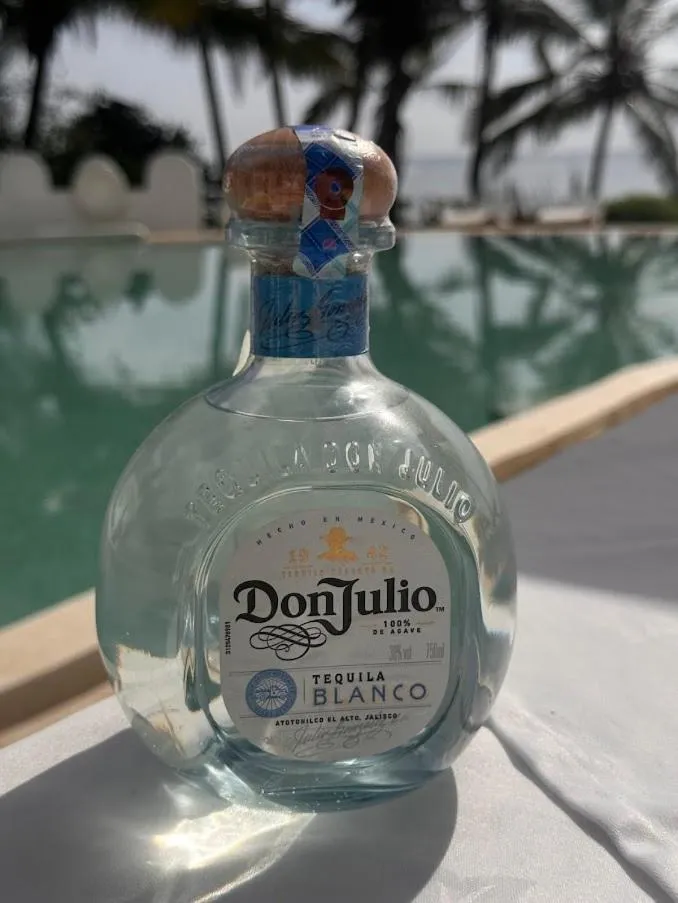 Msambweni Beach House and Private Villas