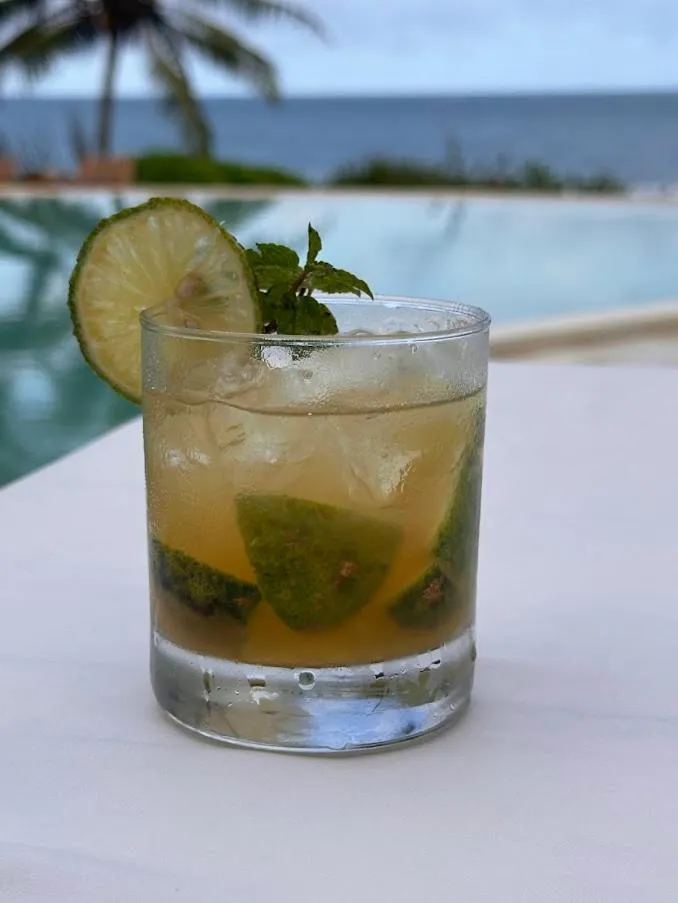 Msambweni Beach House and Private Villas