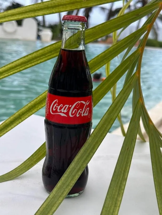 Msambweni Beach House and Private Villas