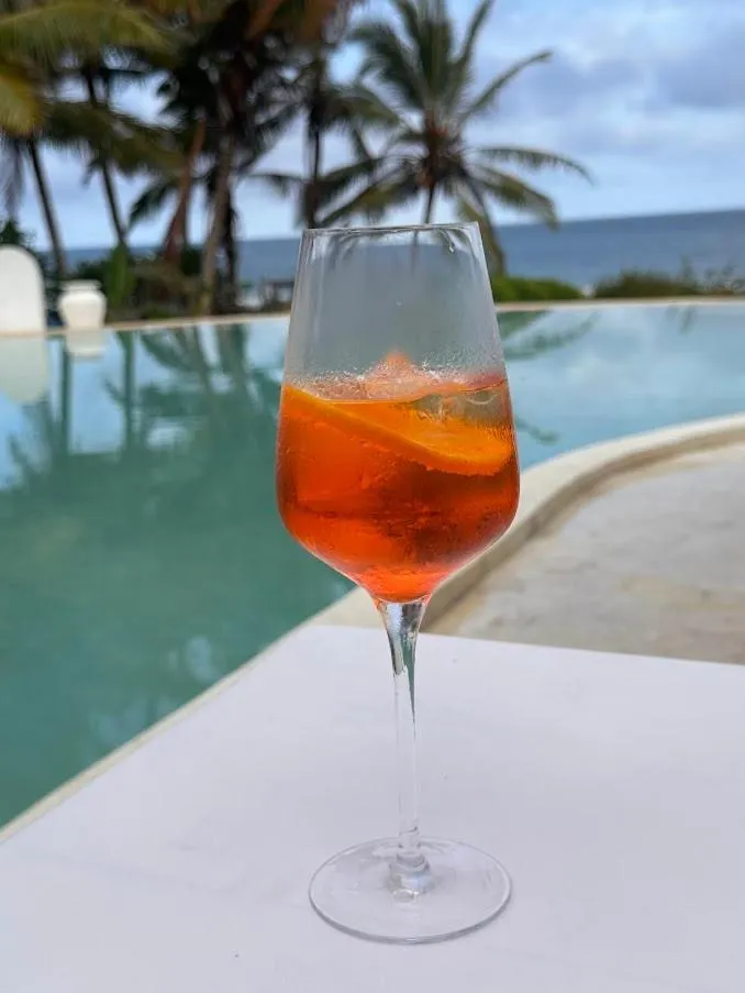 Msambweni Beach House and Private Villas