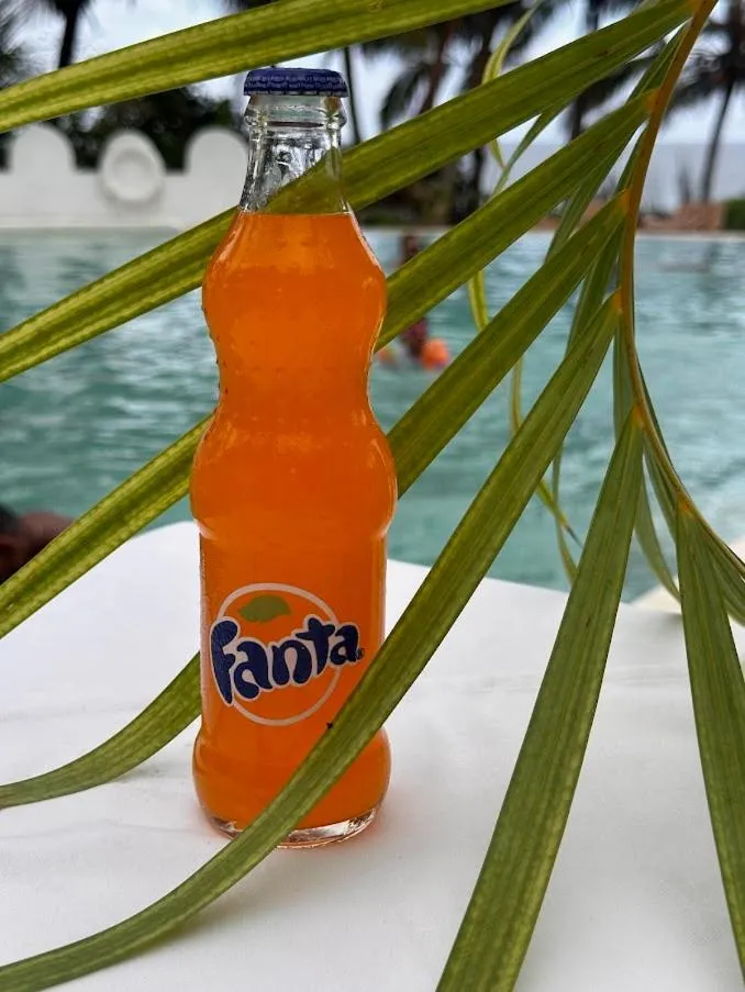 Msambweni Beach House and Private Villas