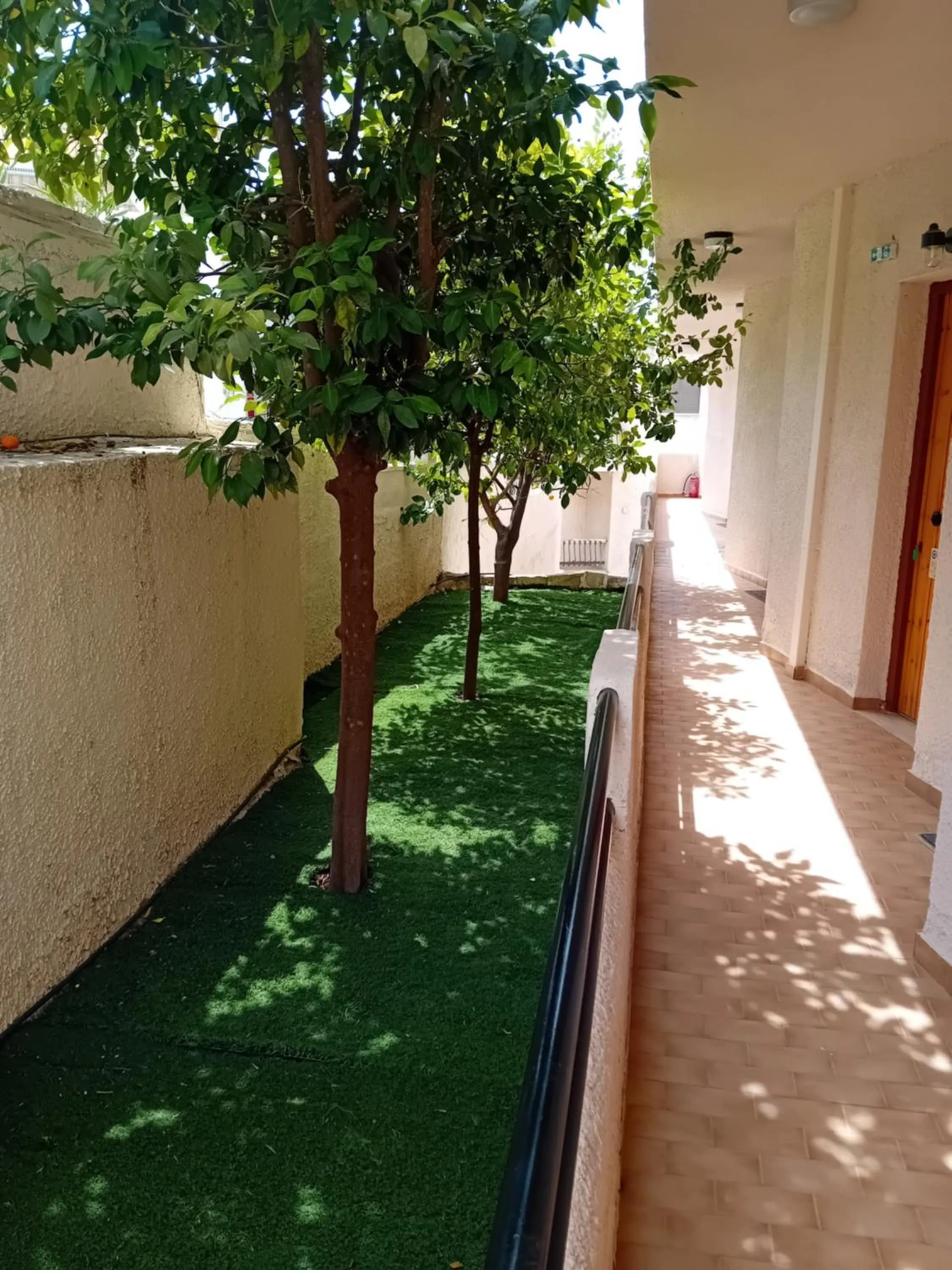 Garden in Φiloxenia Apartments
