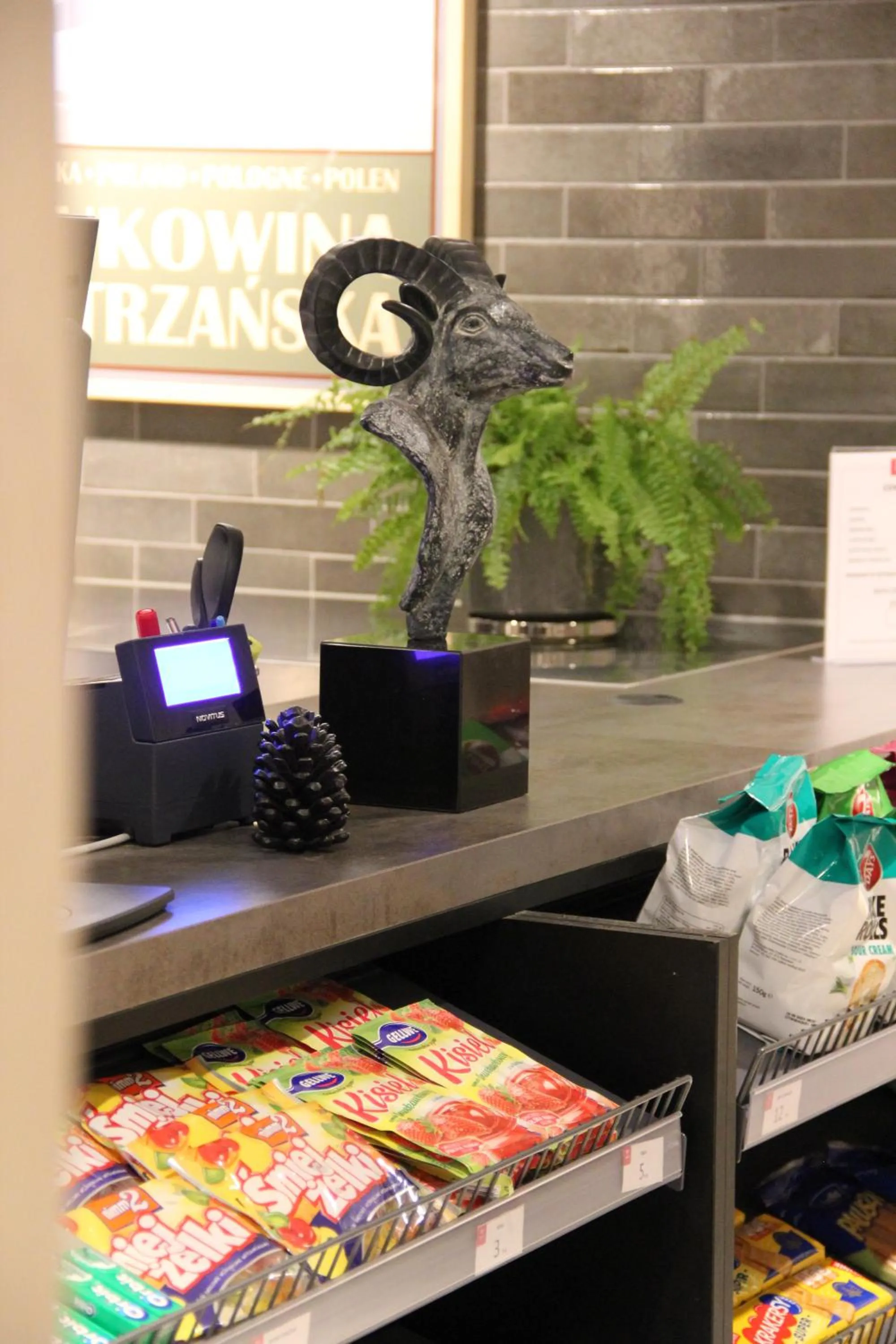 Apartamenty Aries Residence Bukowina