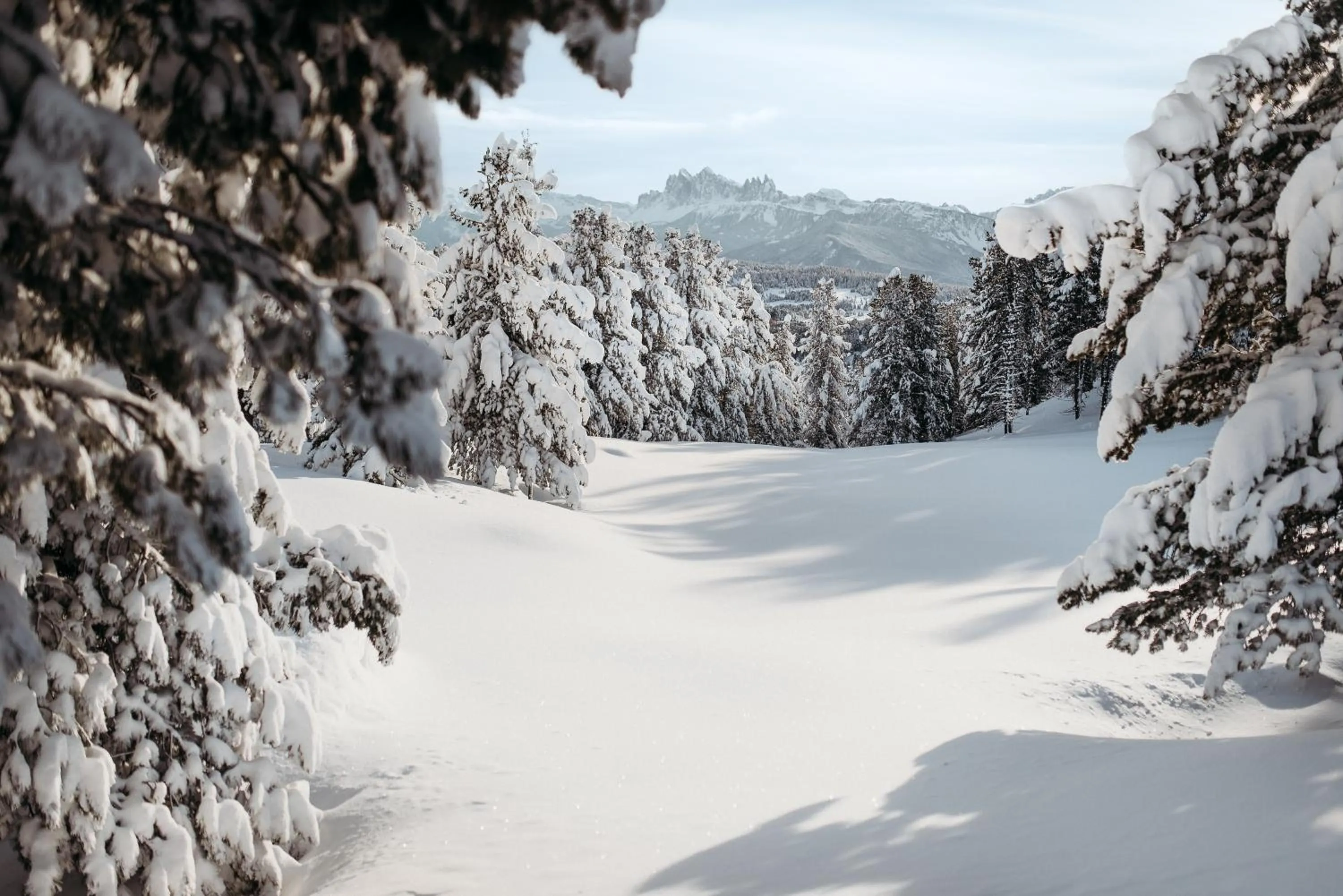 Natural landscape in Hotel Bischofhof