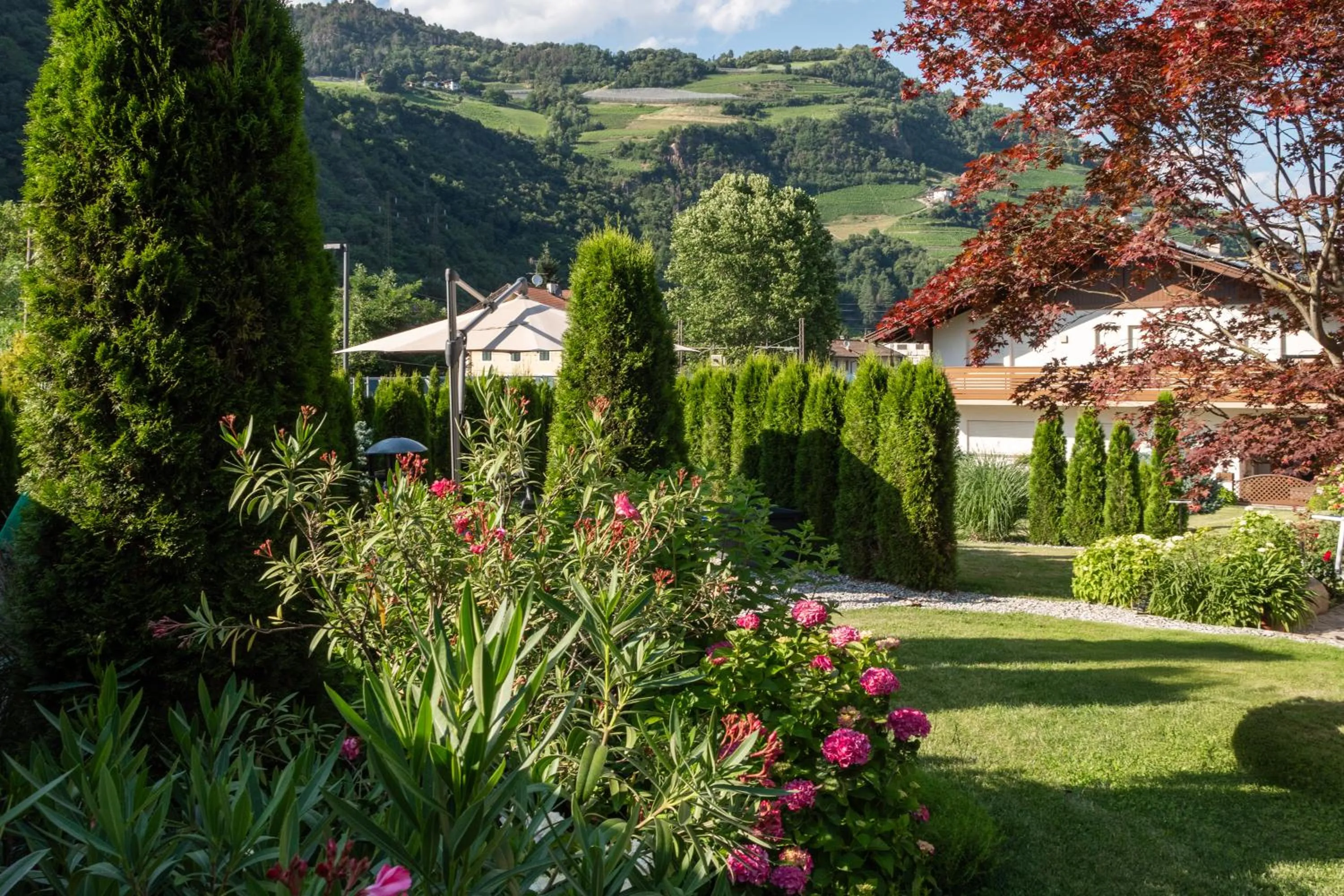 Garden in Hotel Bischofhof