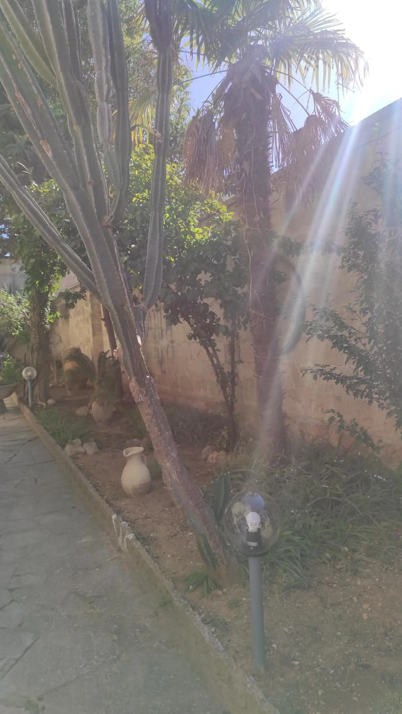 Garden in Casa Salento