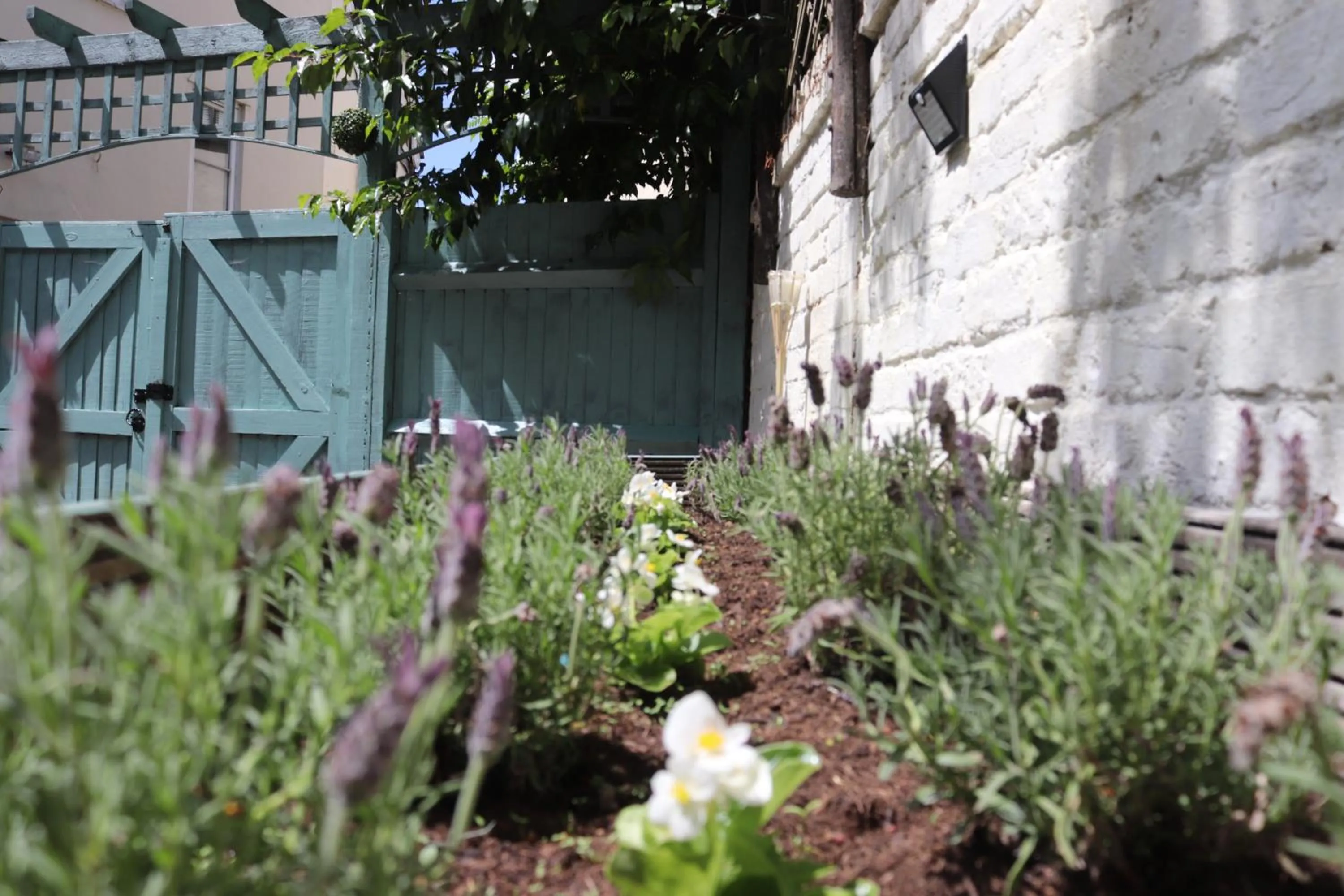 Garden in Grade I listed luxury apartment in Hertfordshire