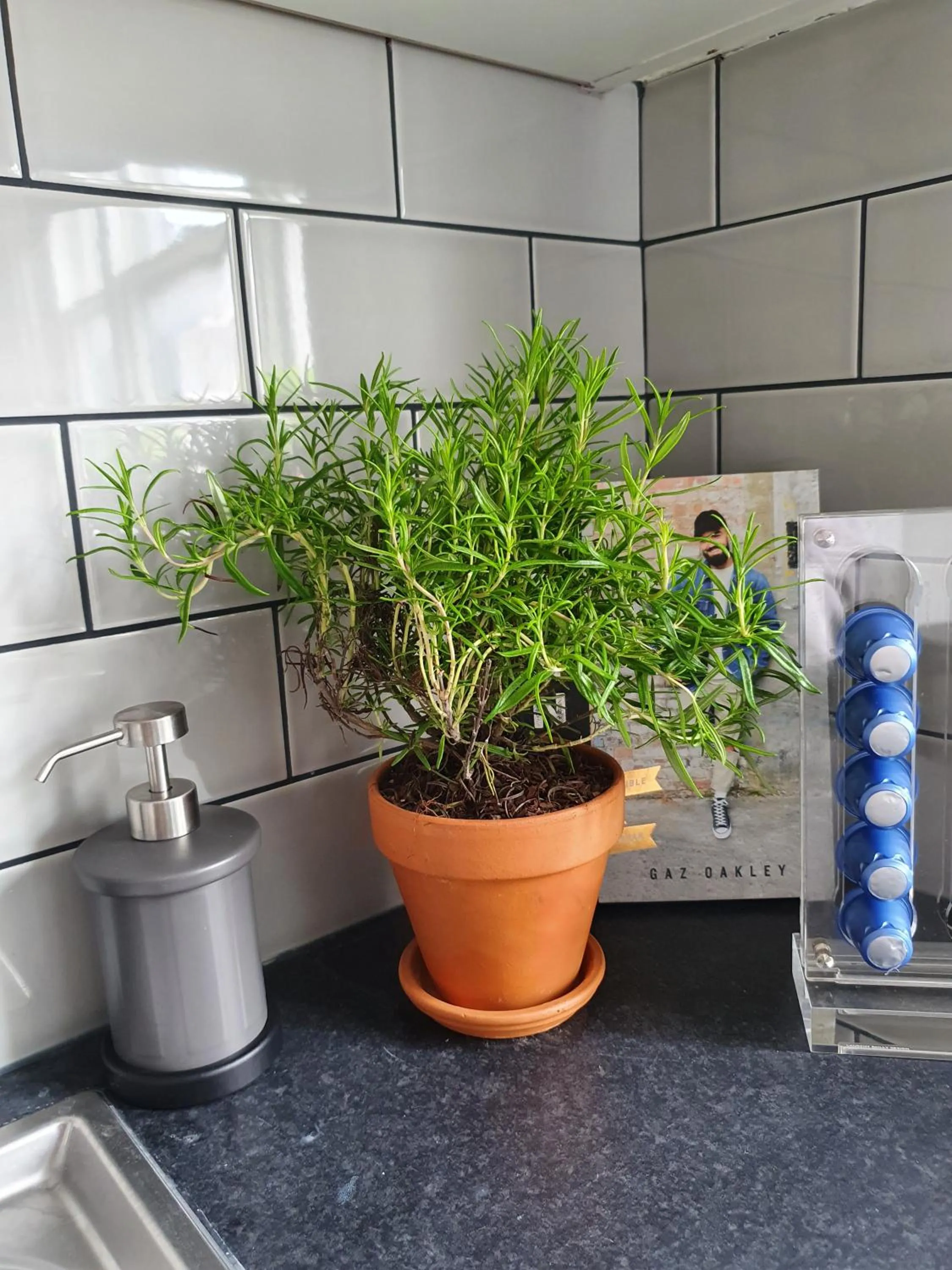 Kitchen or kitchenette in Grade I listed luxury apartment in Hertfordshire