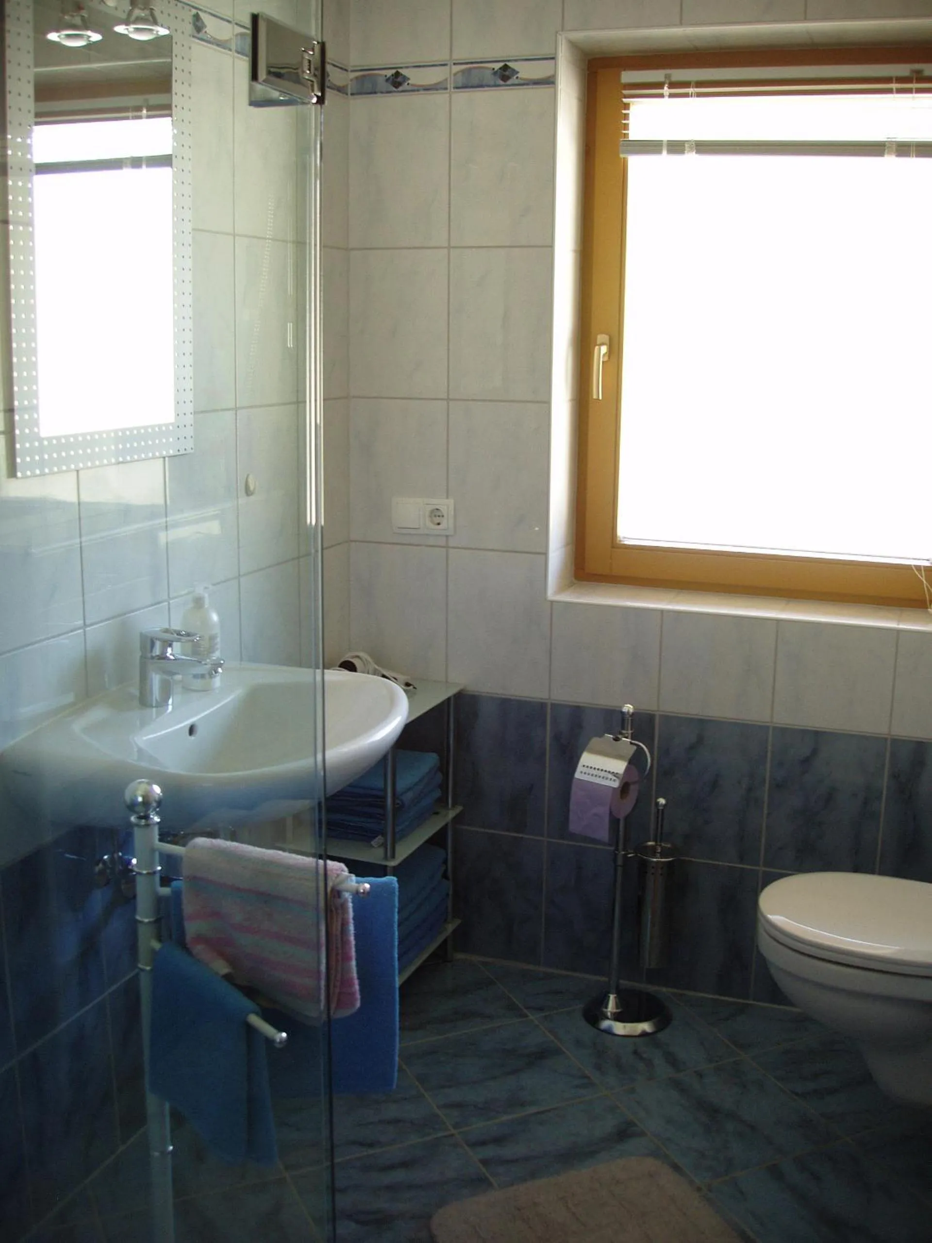 Bathroom in Ferienwohnung Wohlfartstätter