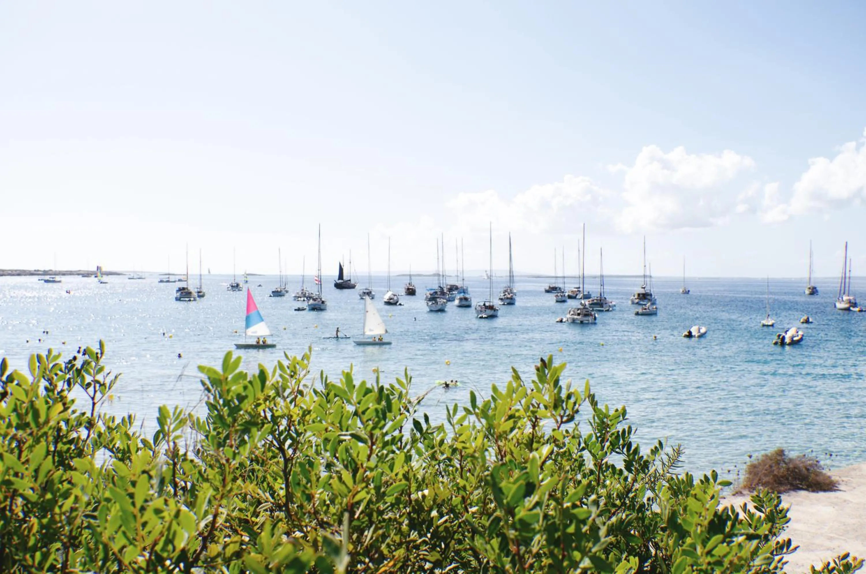 Natural landscape in Hostal Mar y Sal