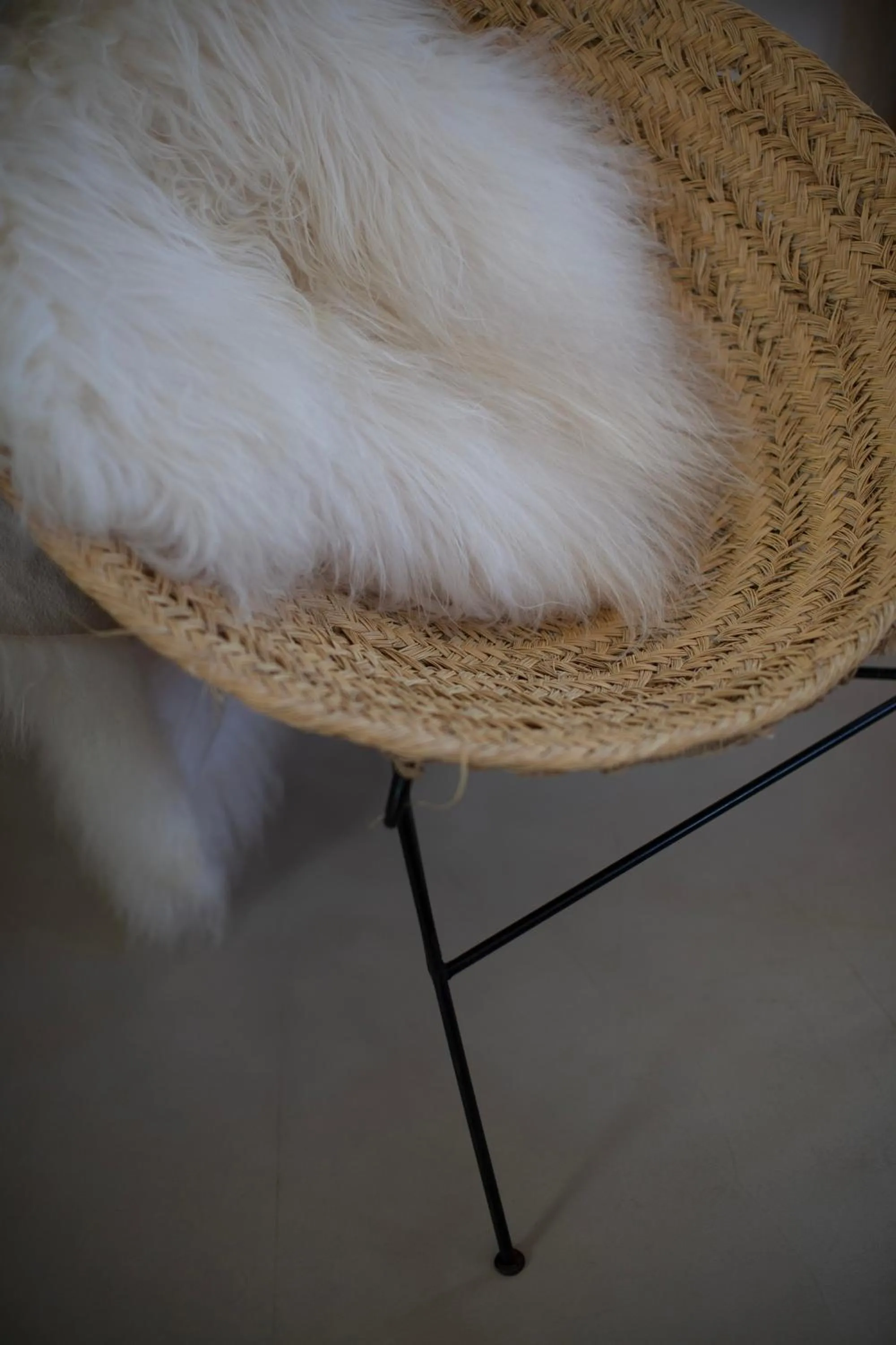 Decorative detail in Hostal Mar y Sal