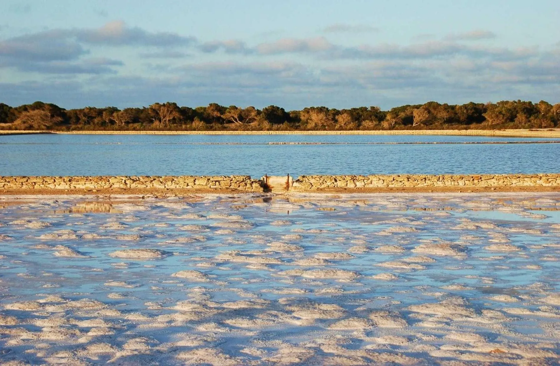 Natural landscape in Hostal Mar y Sal