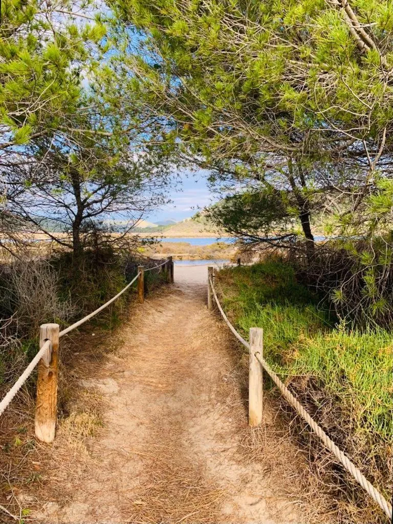 Beach in Hostal Mar y Sal