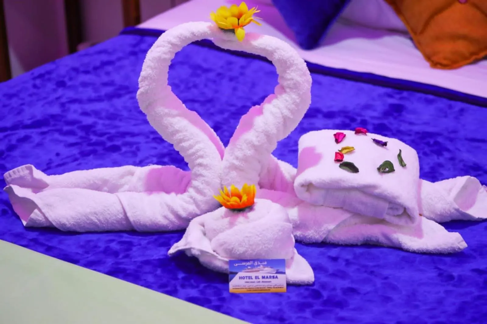 Photo of the whole room in Hotel EL MARSA LA PLAYA