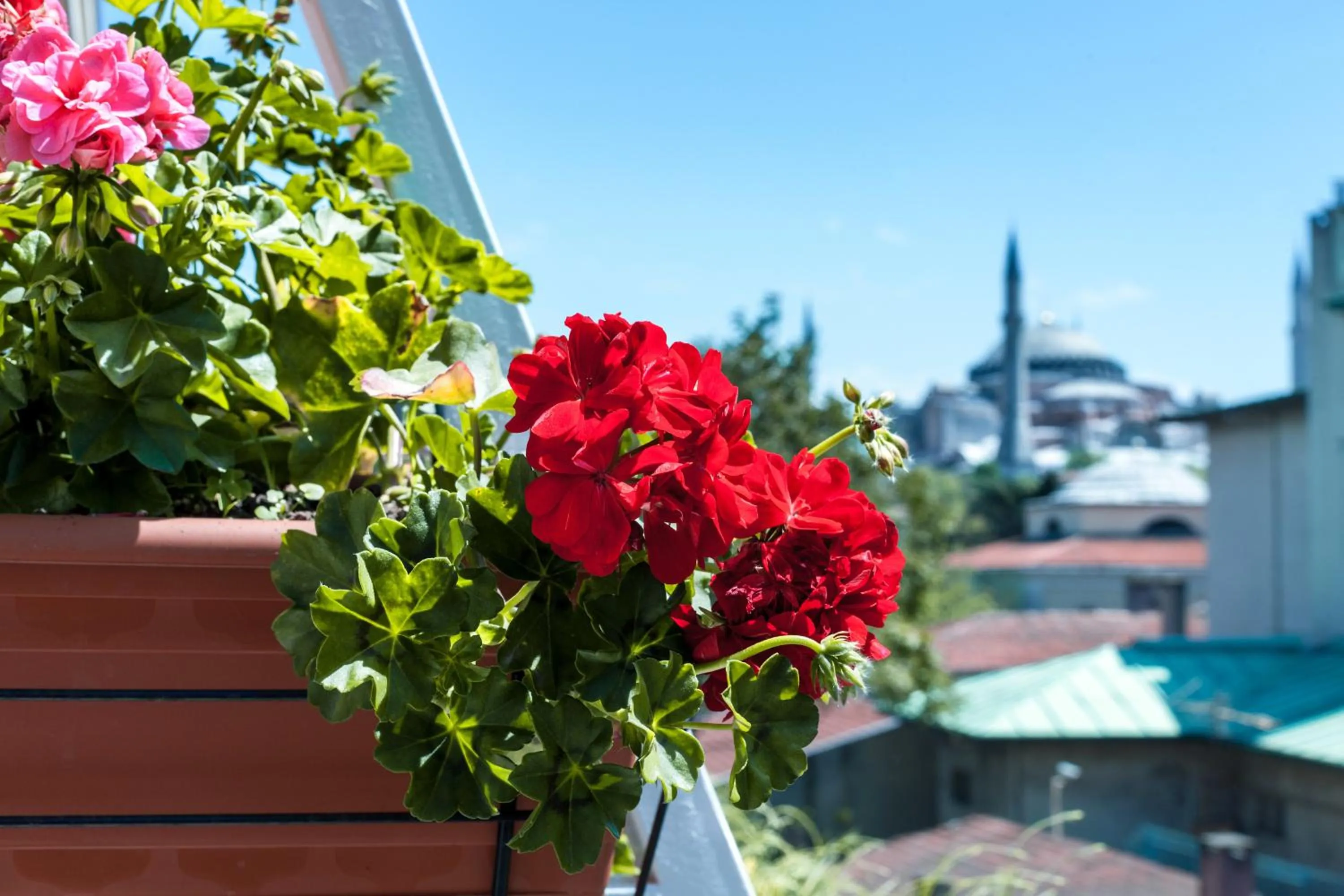 Balcony/Terrace in Sude Konak