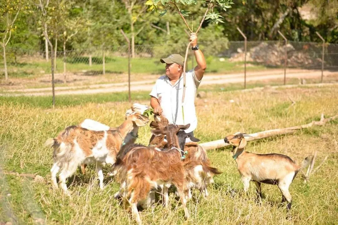 Hotel de Campo Villa de Ada