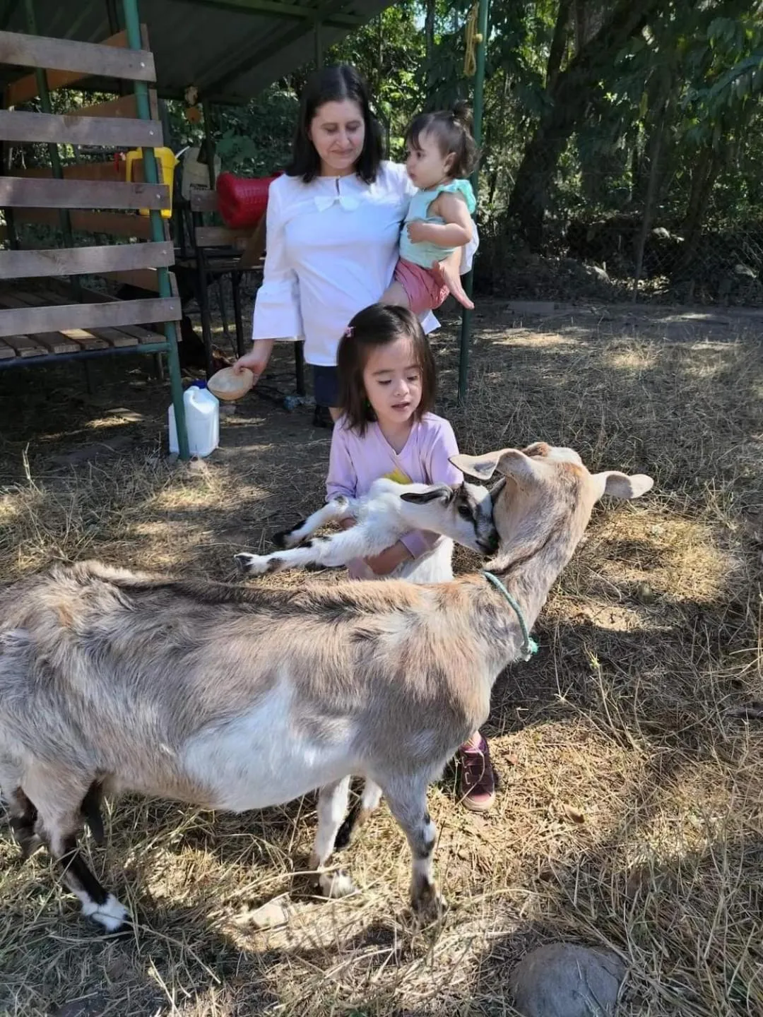 Hotel de Campo Villa de Ada