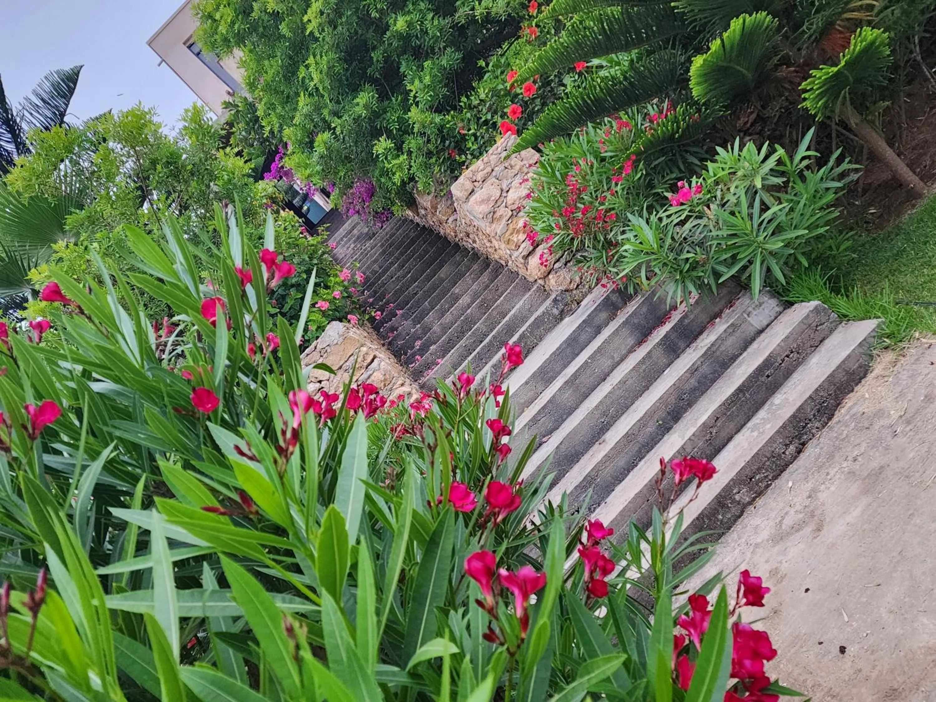 Garden in La Villa Joubert