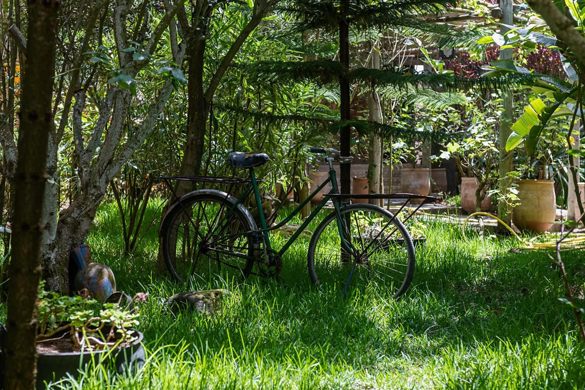 Garden in La Villa Joubert