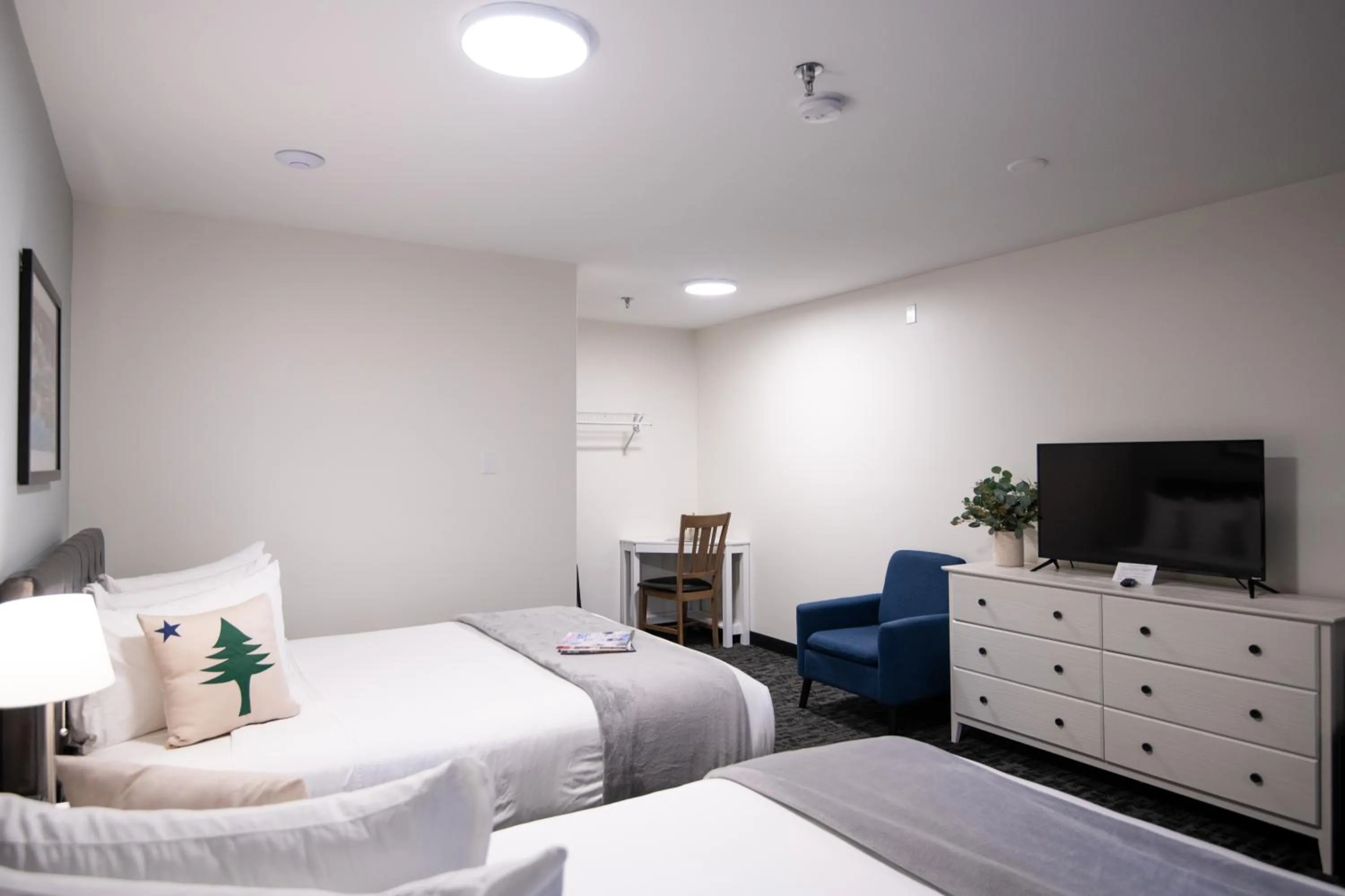 TV and multimedia, Bed in Main Street Motel