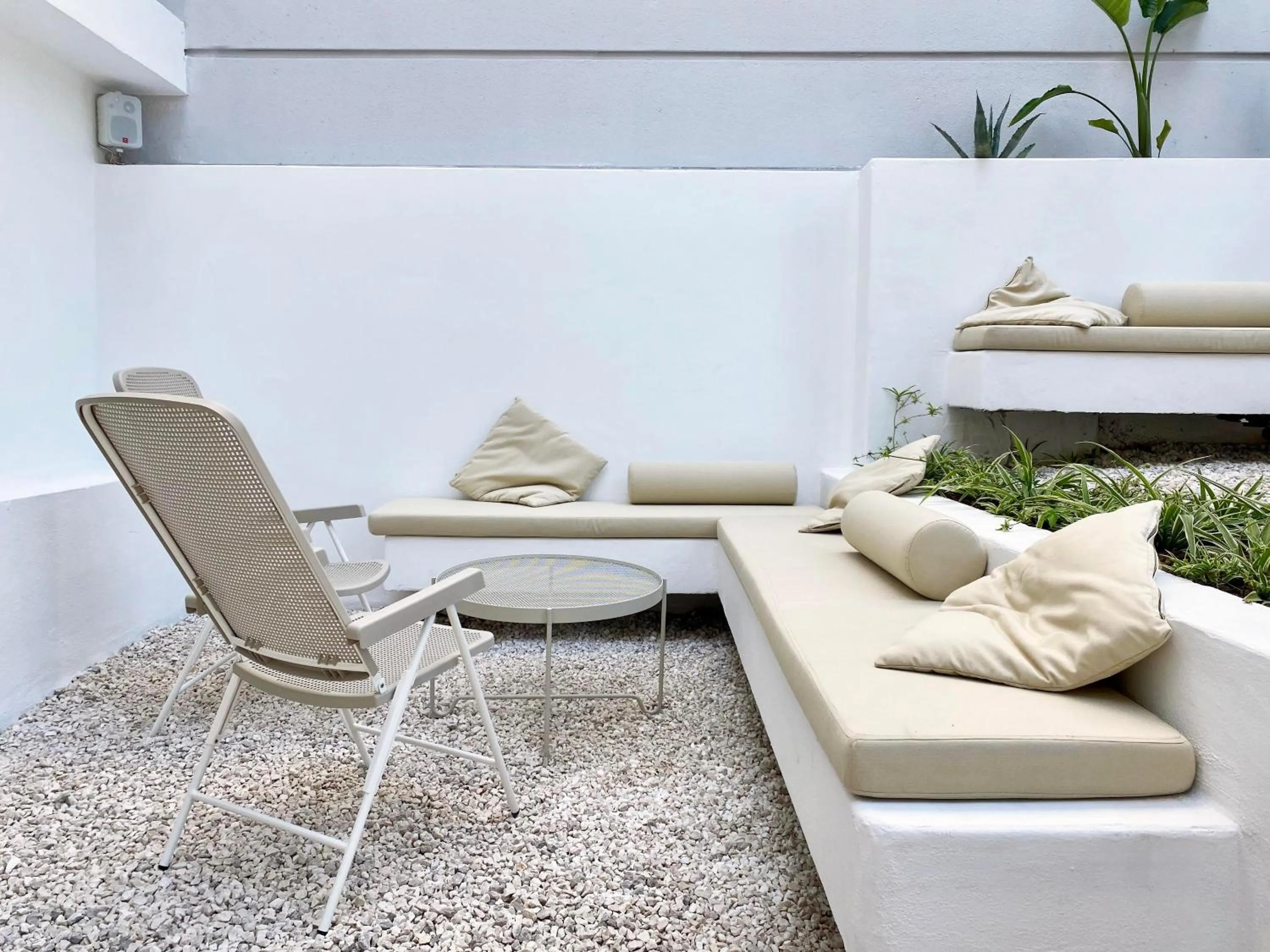 Garden in BE BOLD HOSTEL