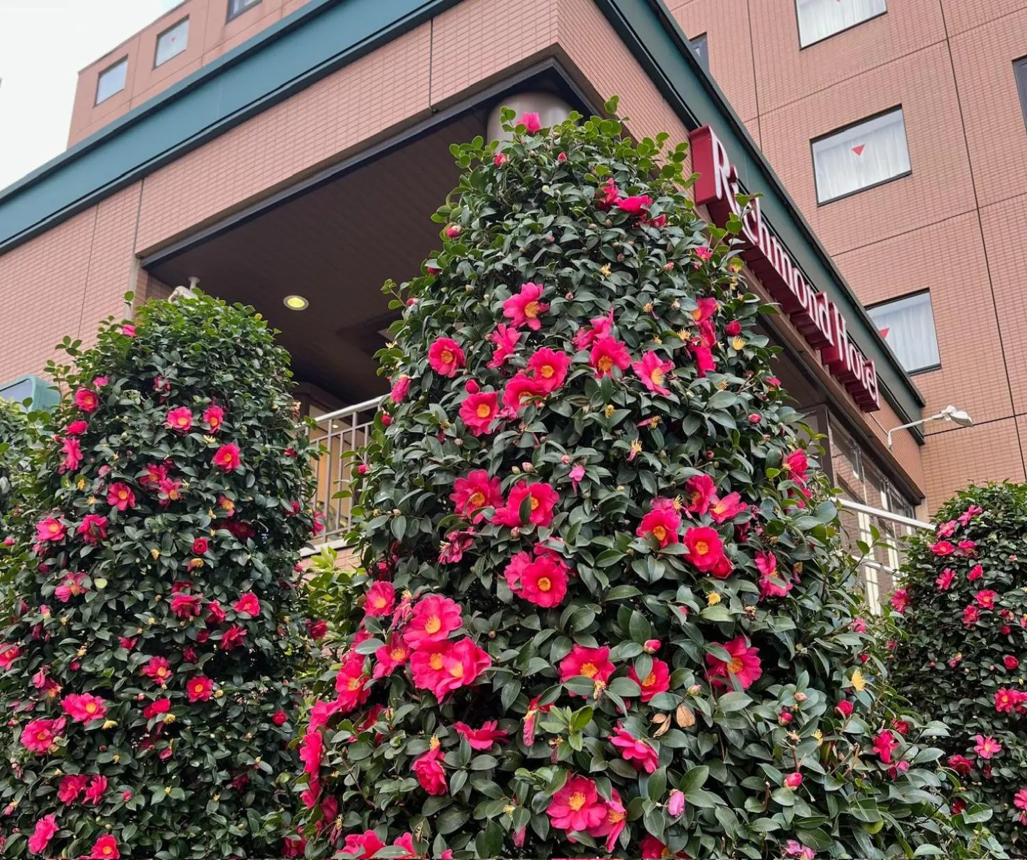Property building in Richmond Hotel Tokyo Musashino