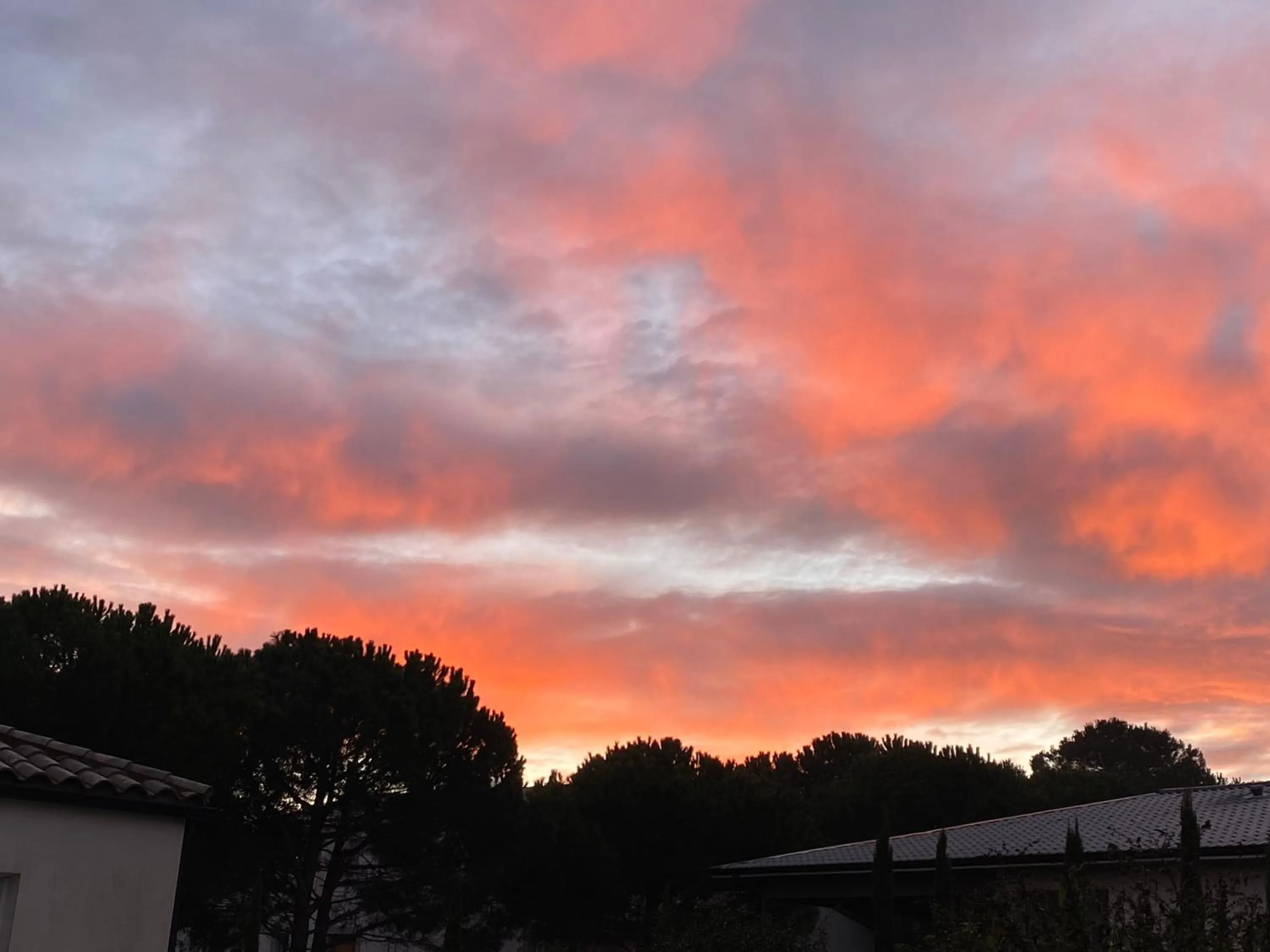 Garden in La Rosela de la Cité