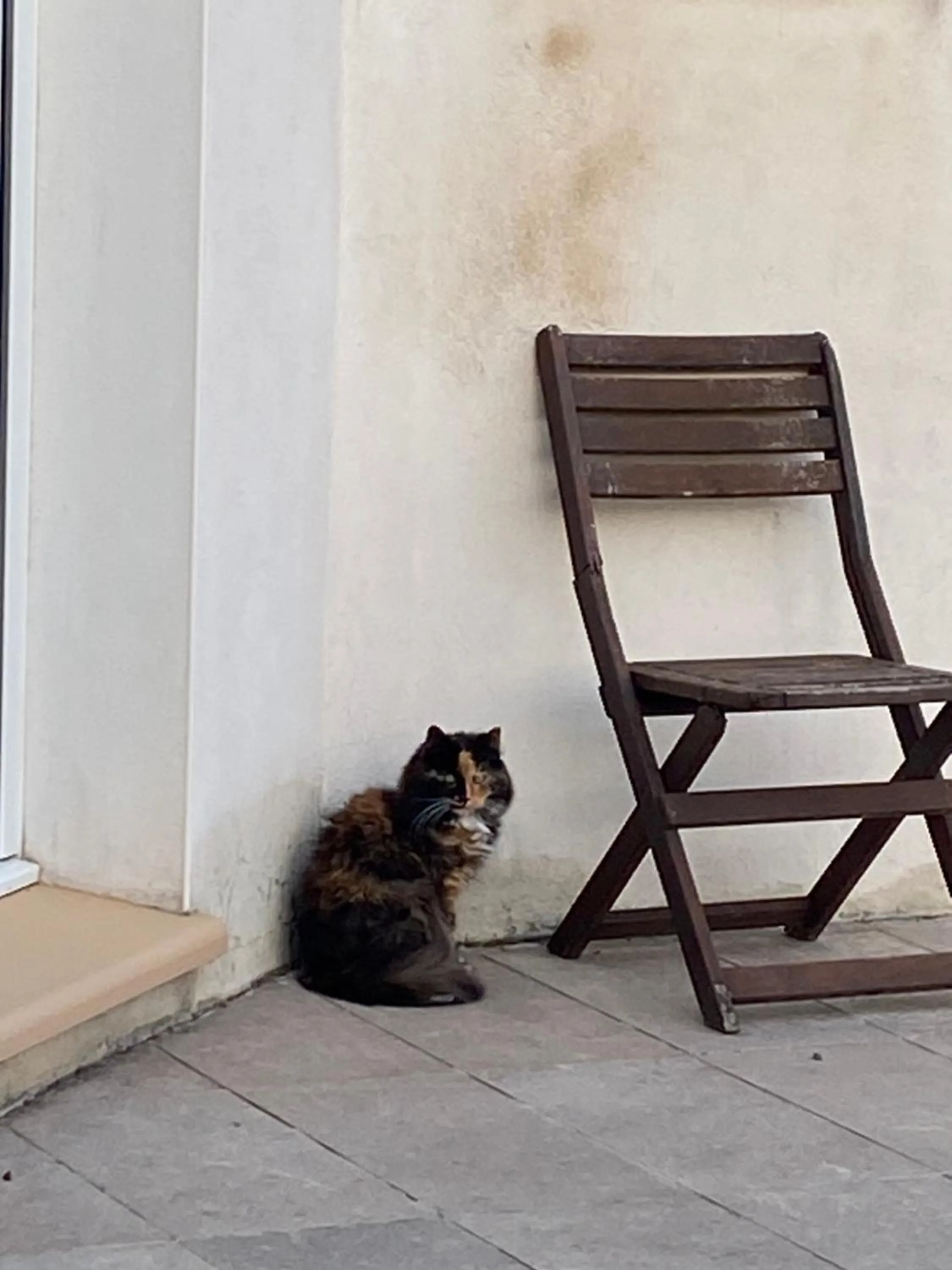 Property building in La Rosela de la Cité