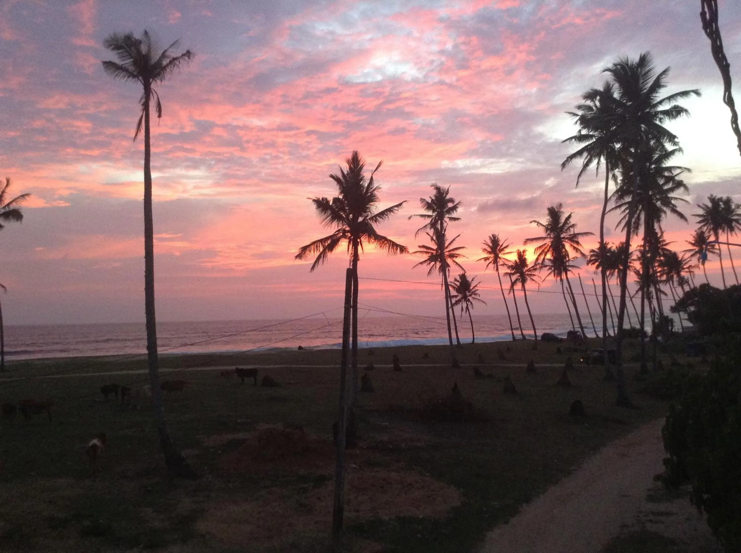 View (from property/room) in Lion's Rest