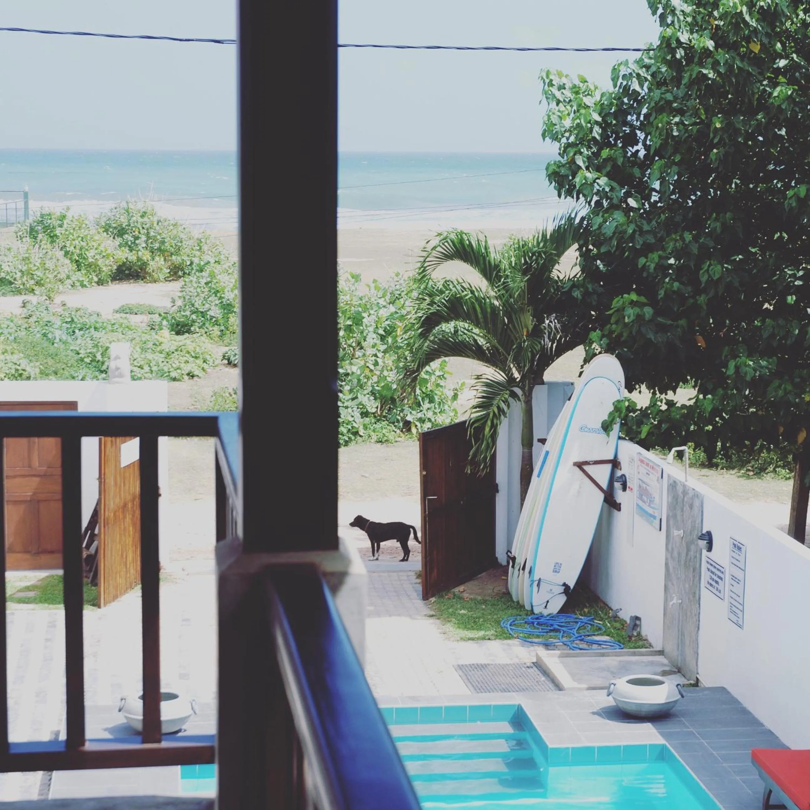 Other in Lion's Rest