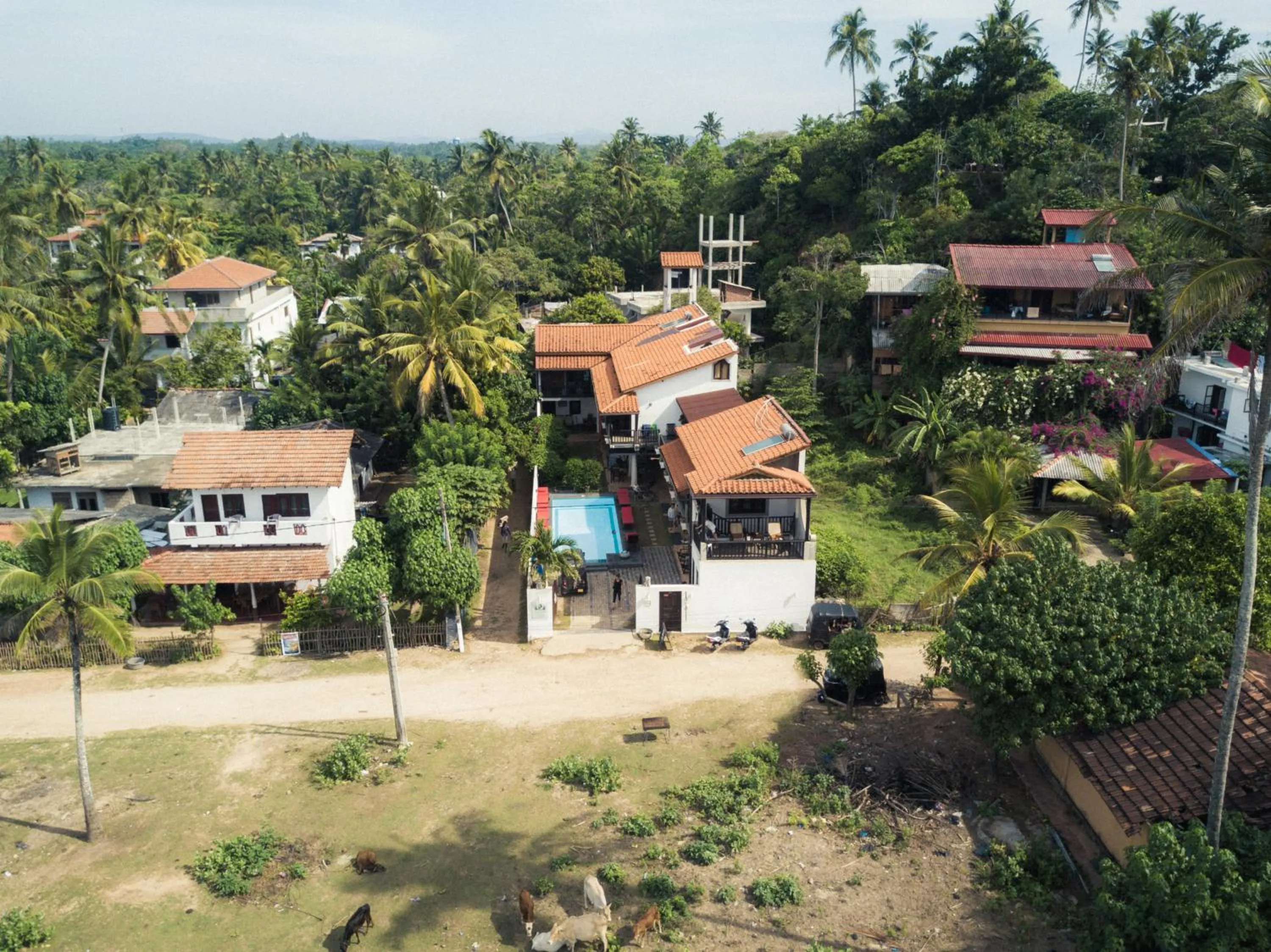 Bird's eye view in Lion's Rest