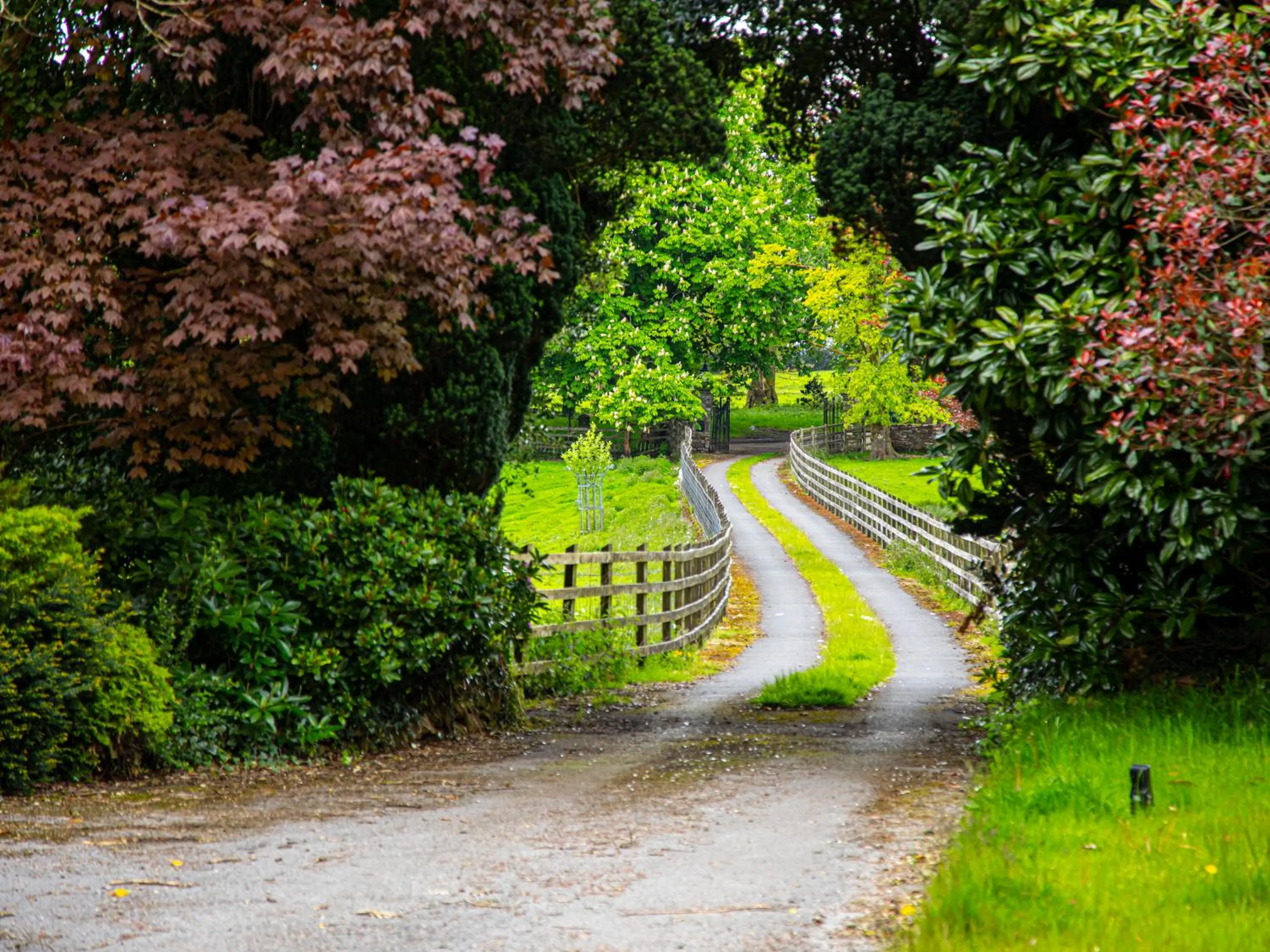 Garden in Swansea Valley Holiday Cottages