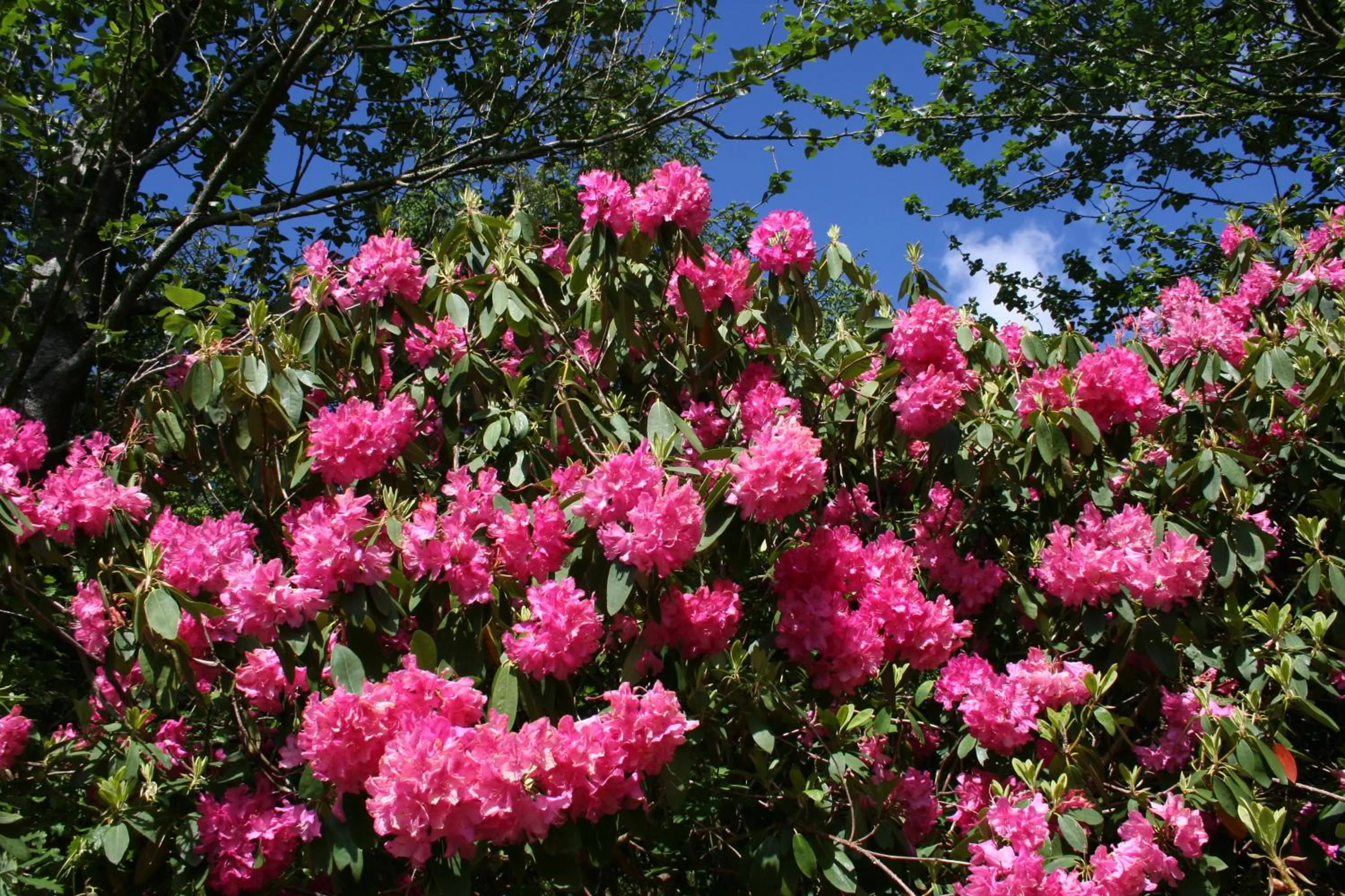 Area and facilities in Swansea Valley Holiday Cottages