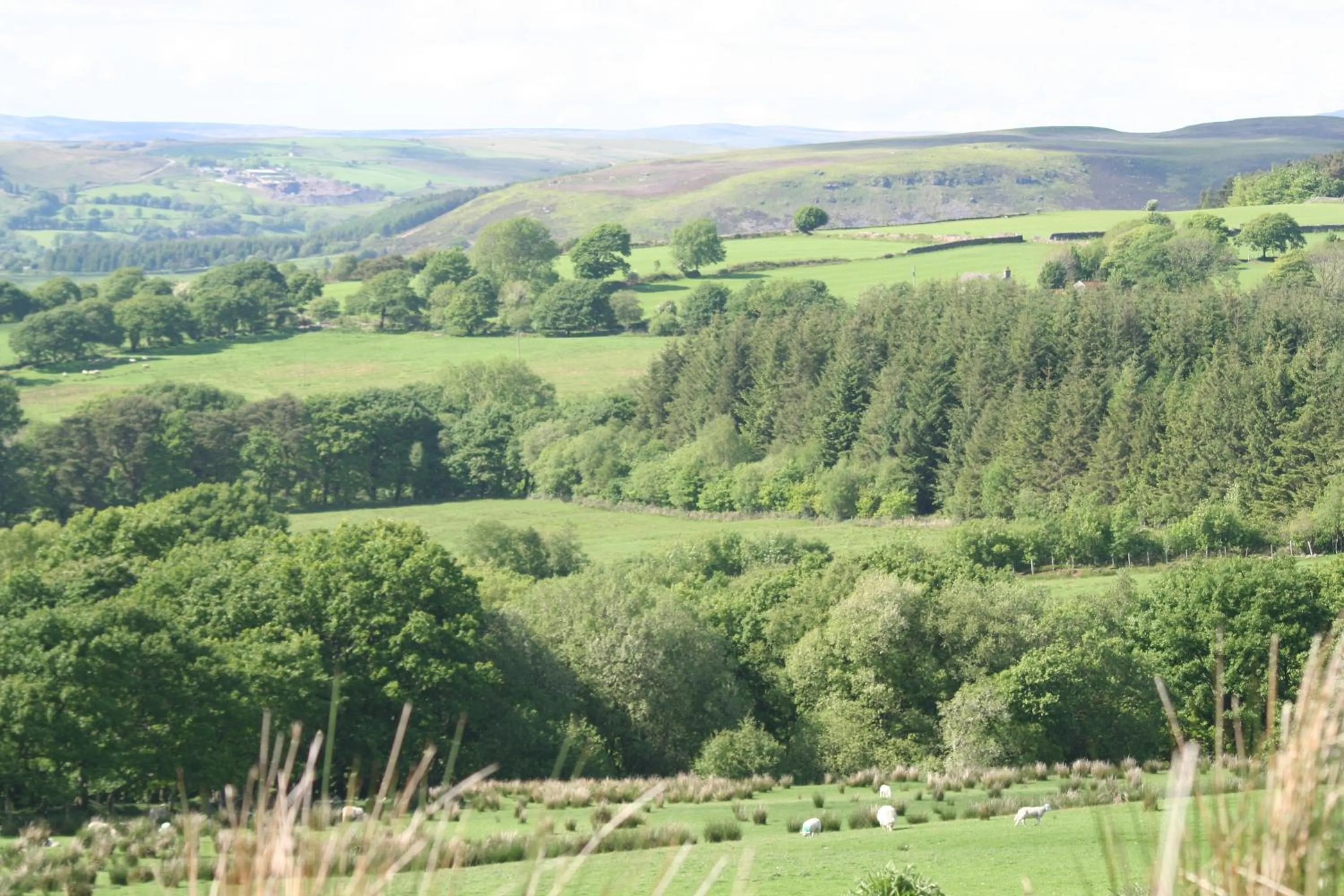 Natural landscape in Swansea Valley Holiday Cottages