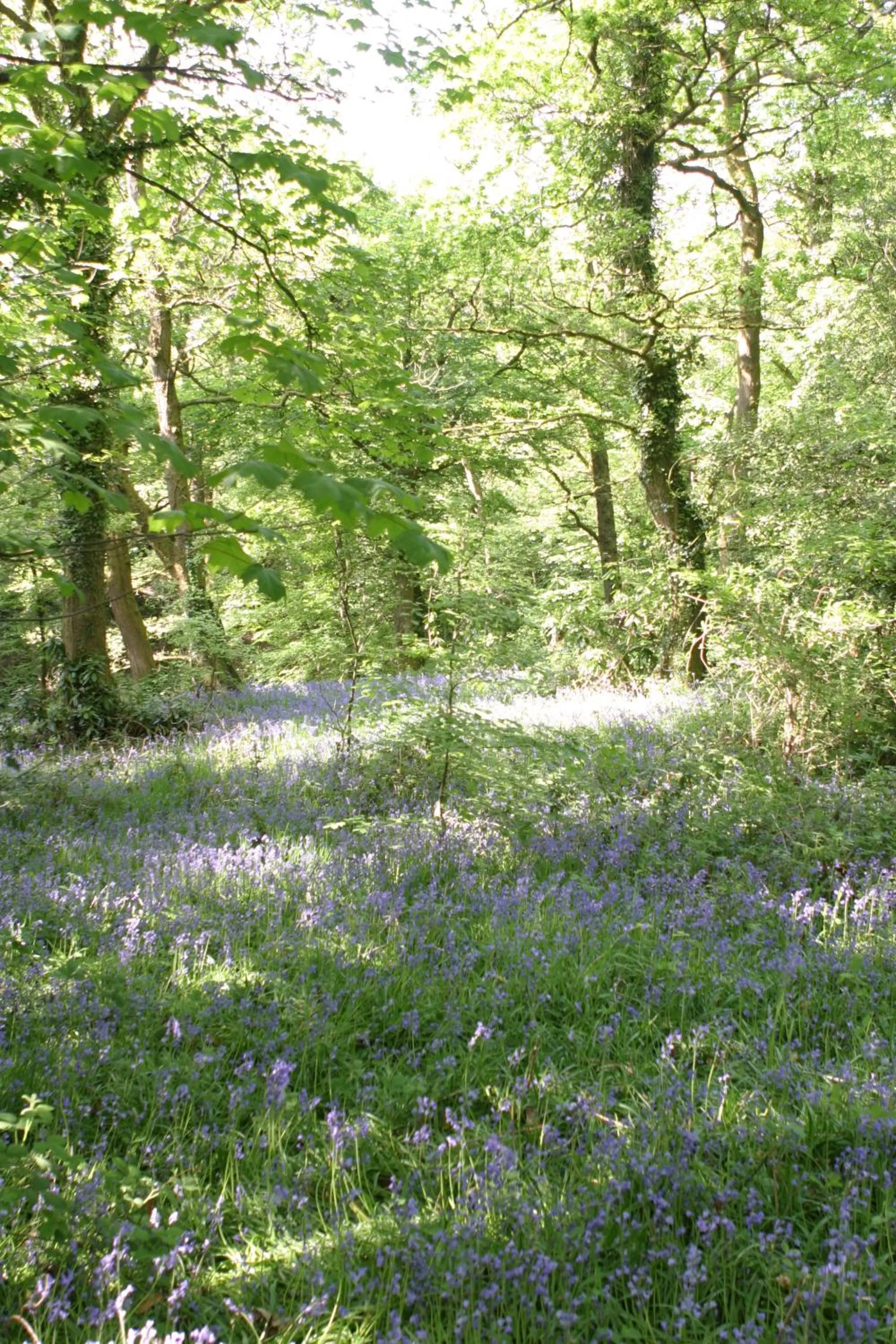 Area and facilities in Swansea Valley Holiday Cottages